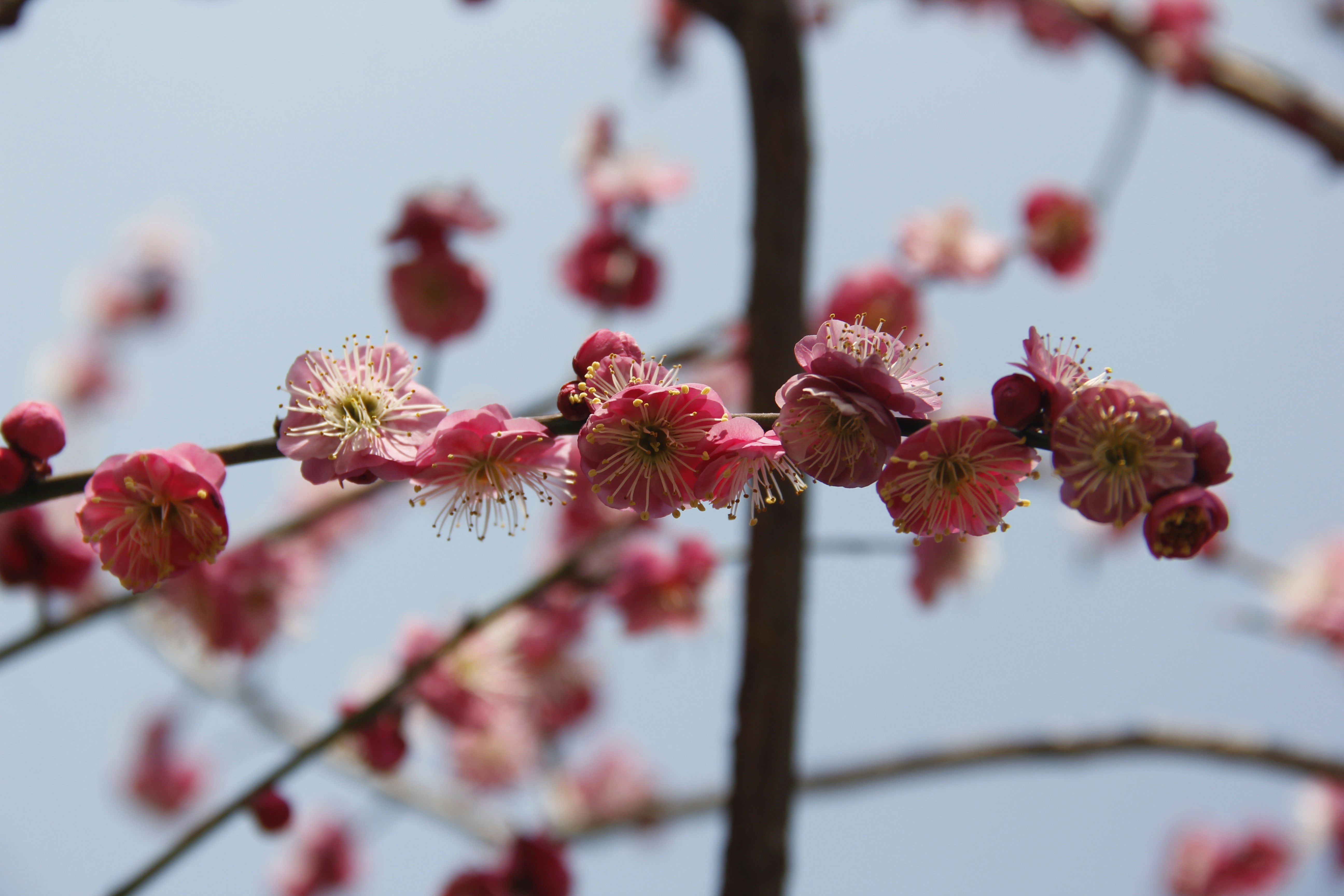 Photo by uttam_kumar