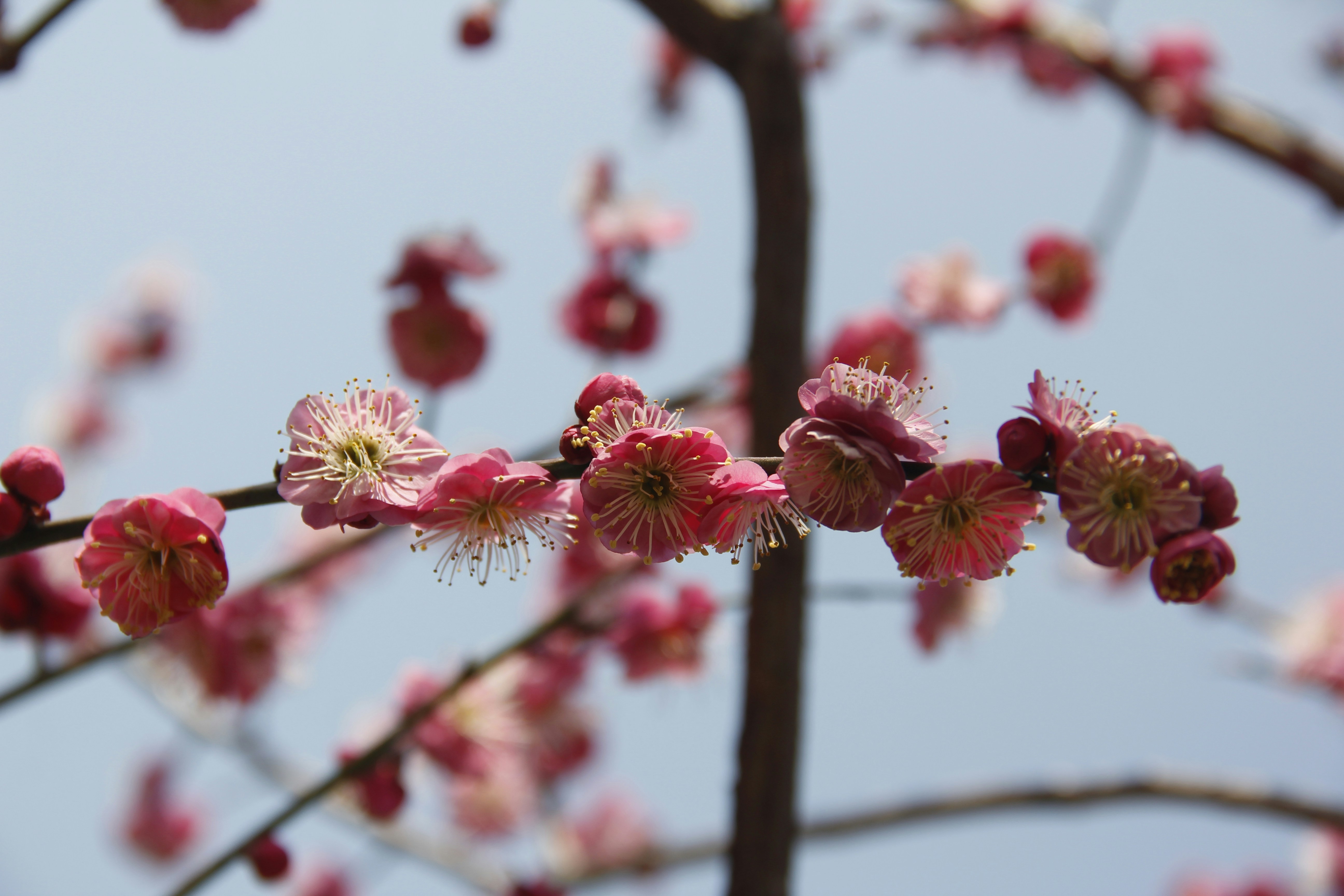 Photo by uttam_kumar