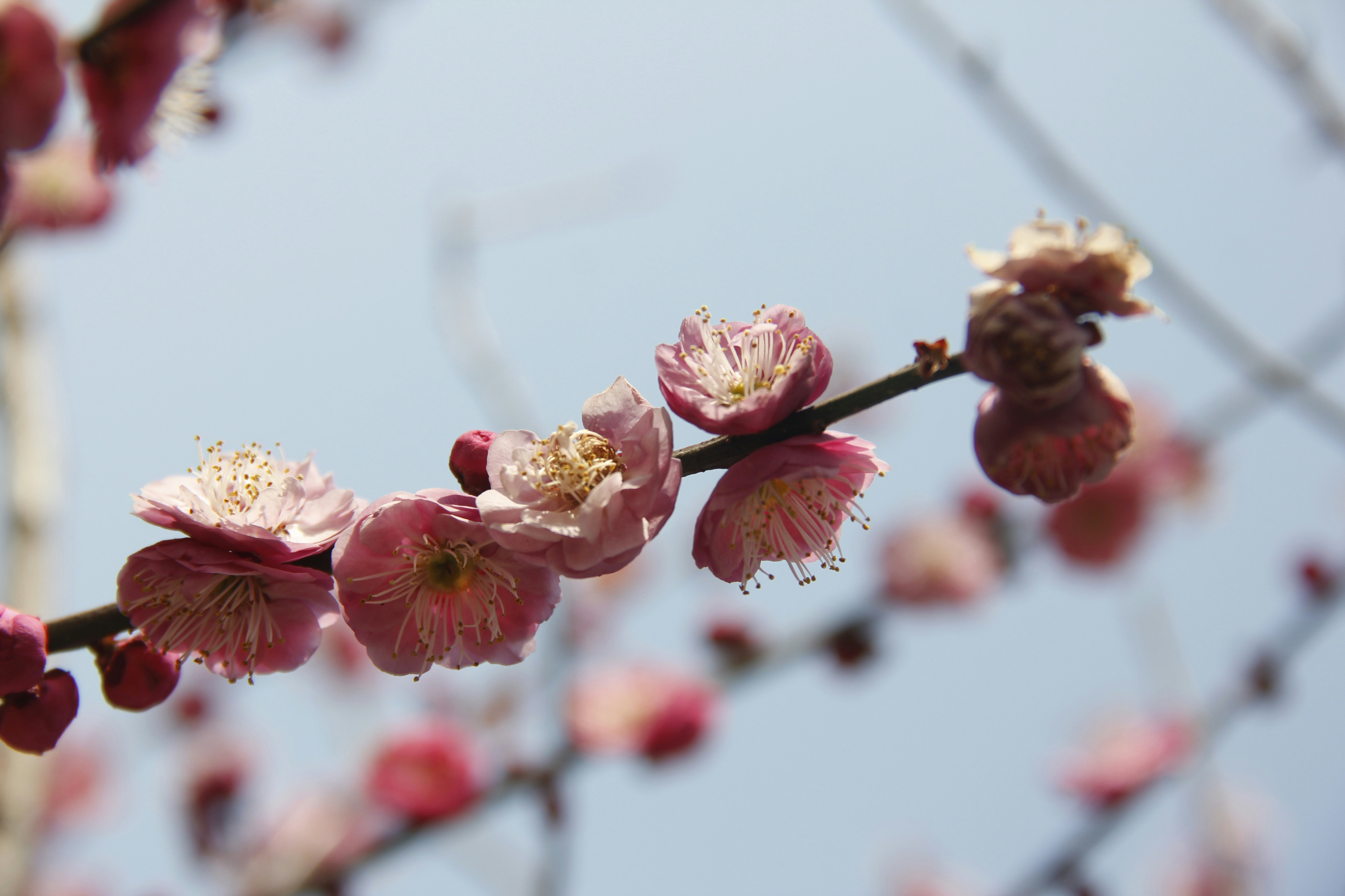 Photo by uttam_kumar