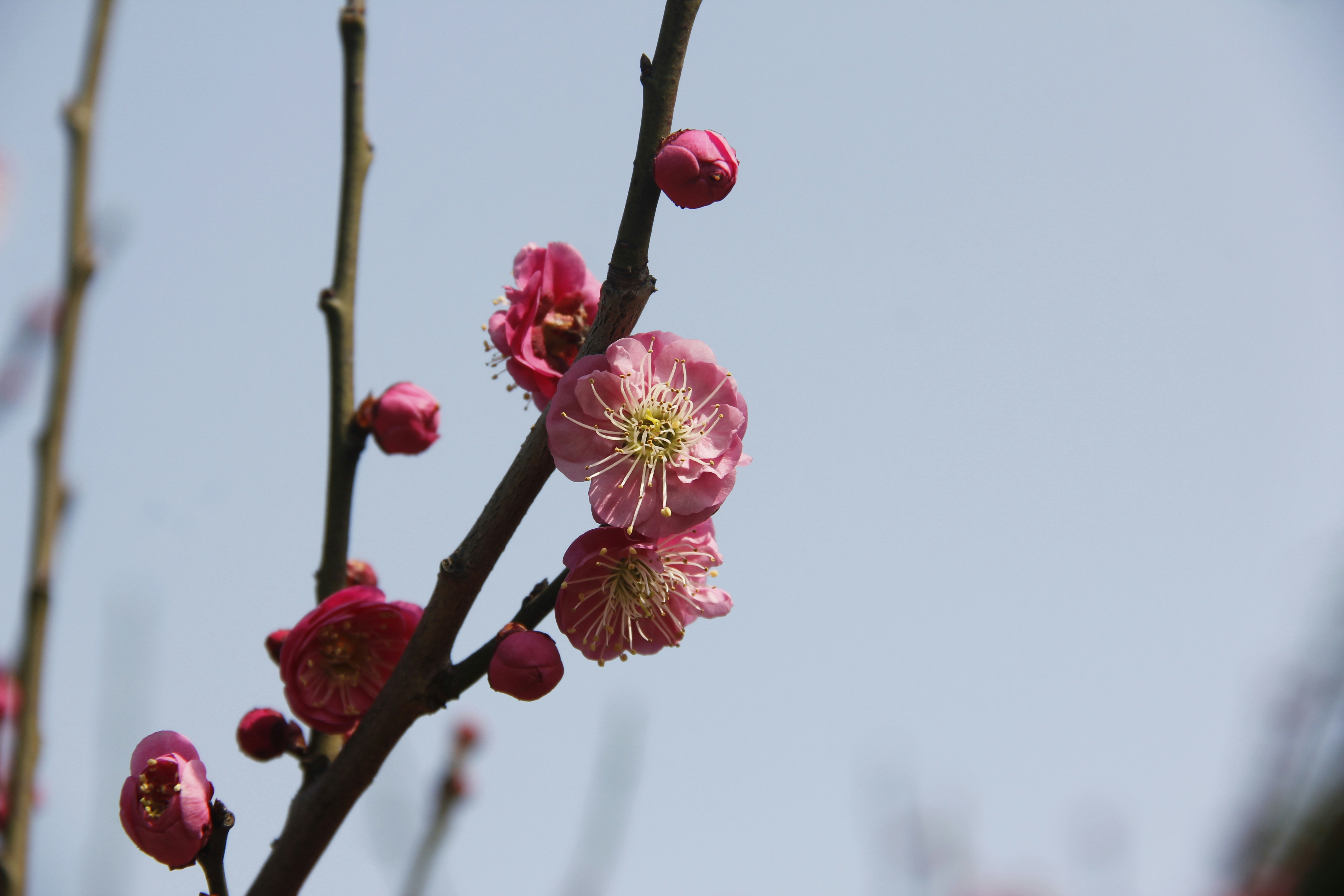 Photo by uttam_kumar