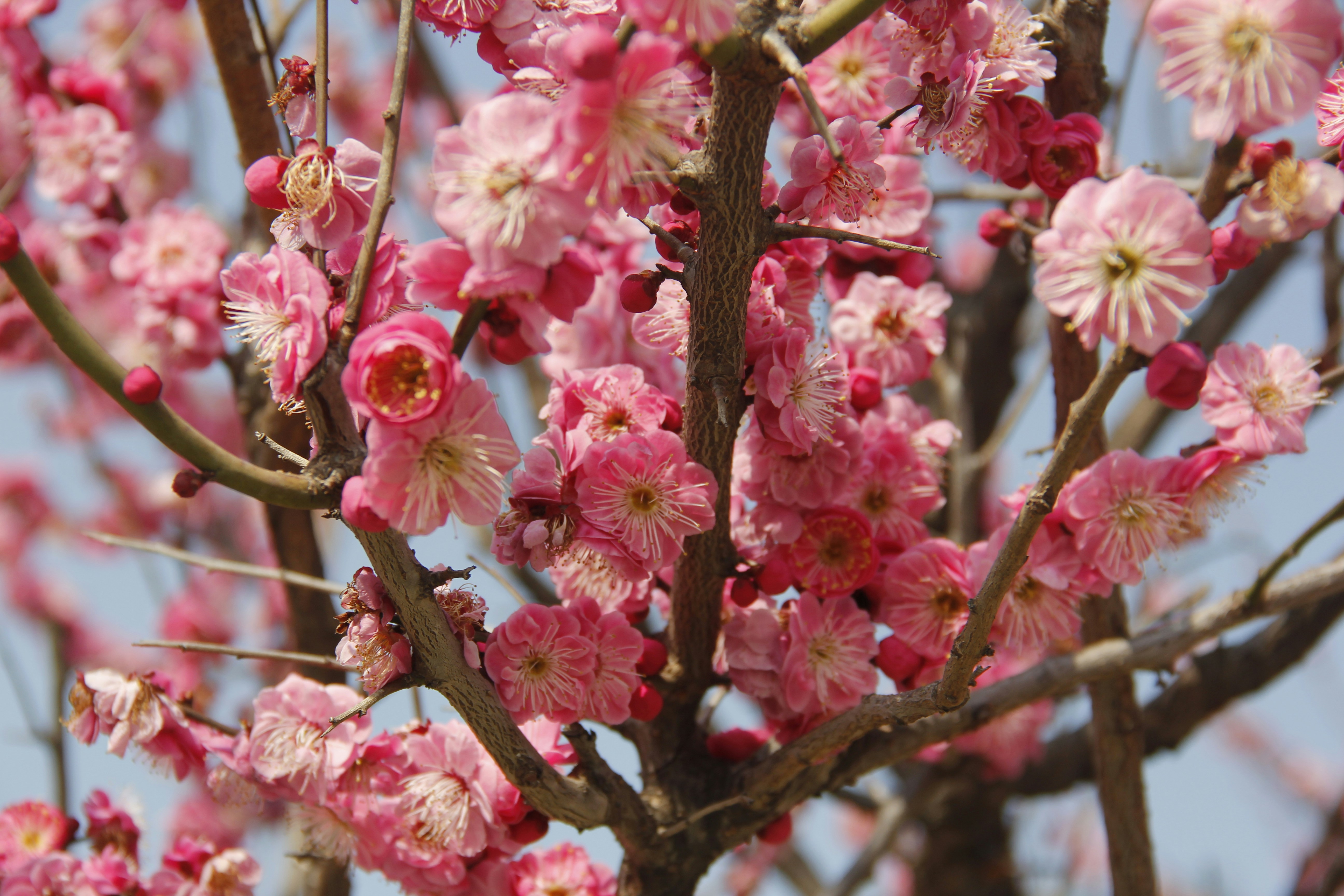 Photo by uttam_kumar