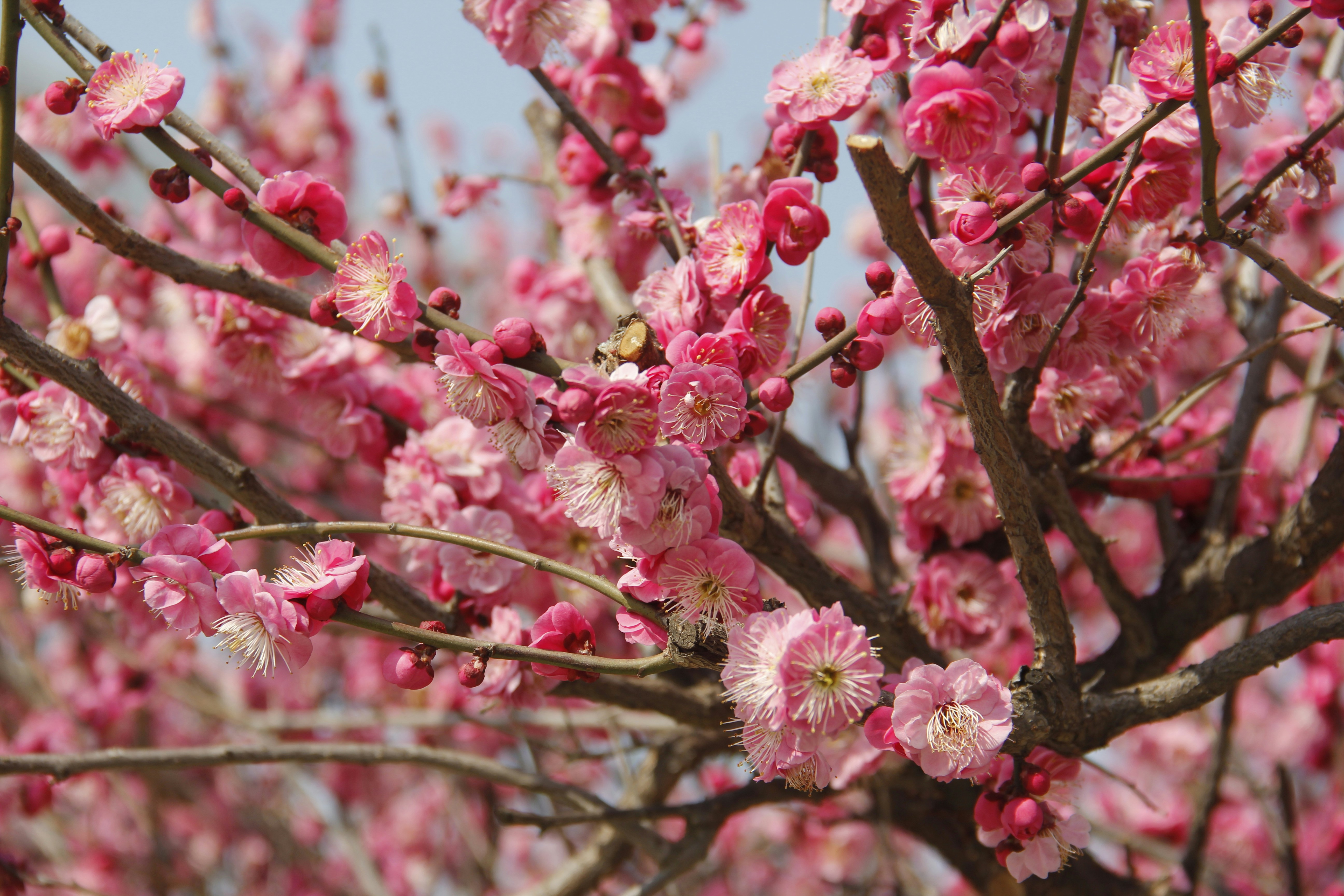 Photo by uttam_kumar