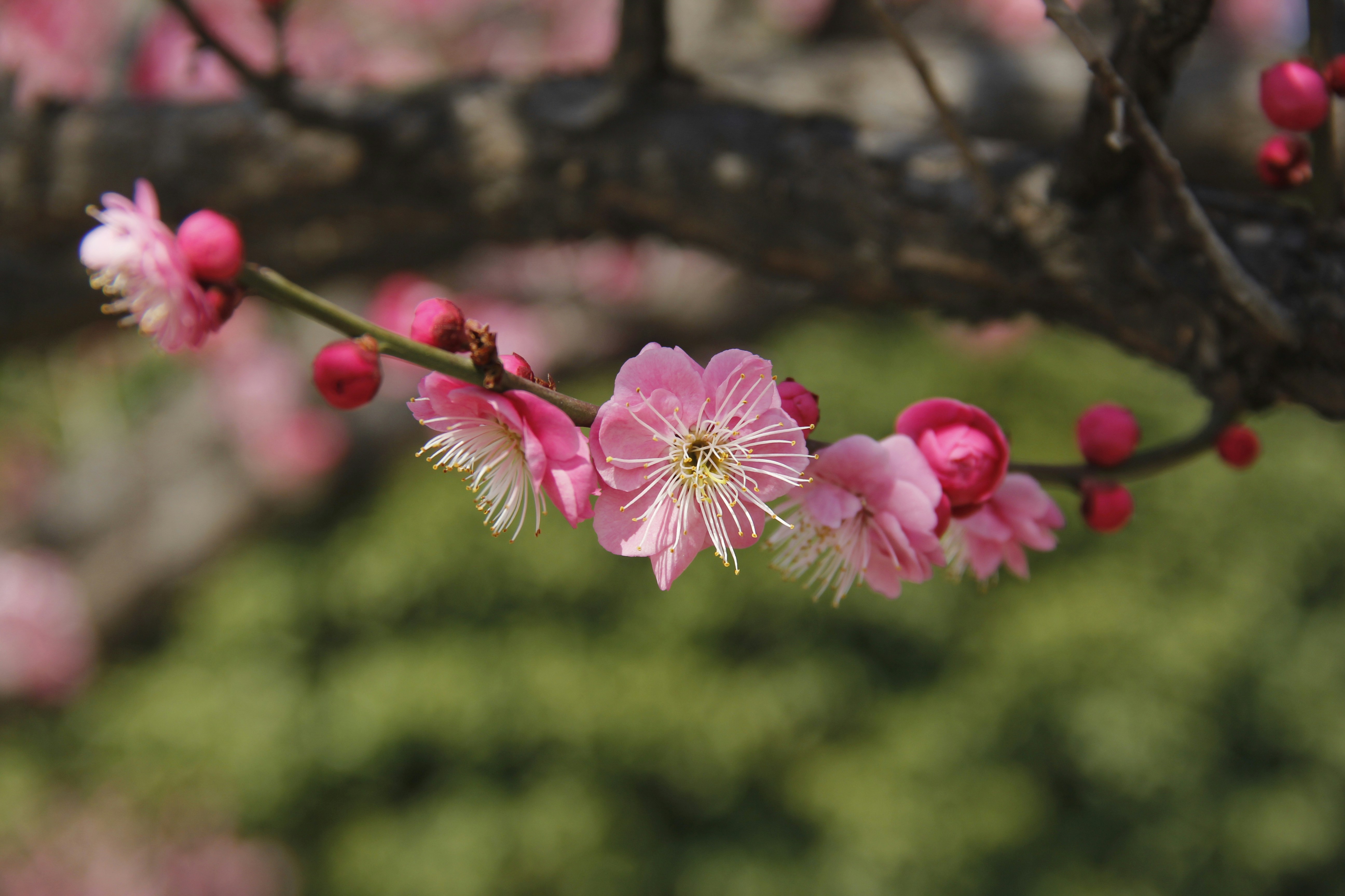 Photo by uttam_kumar