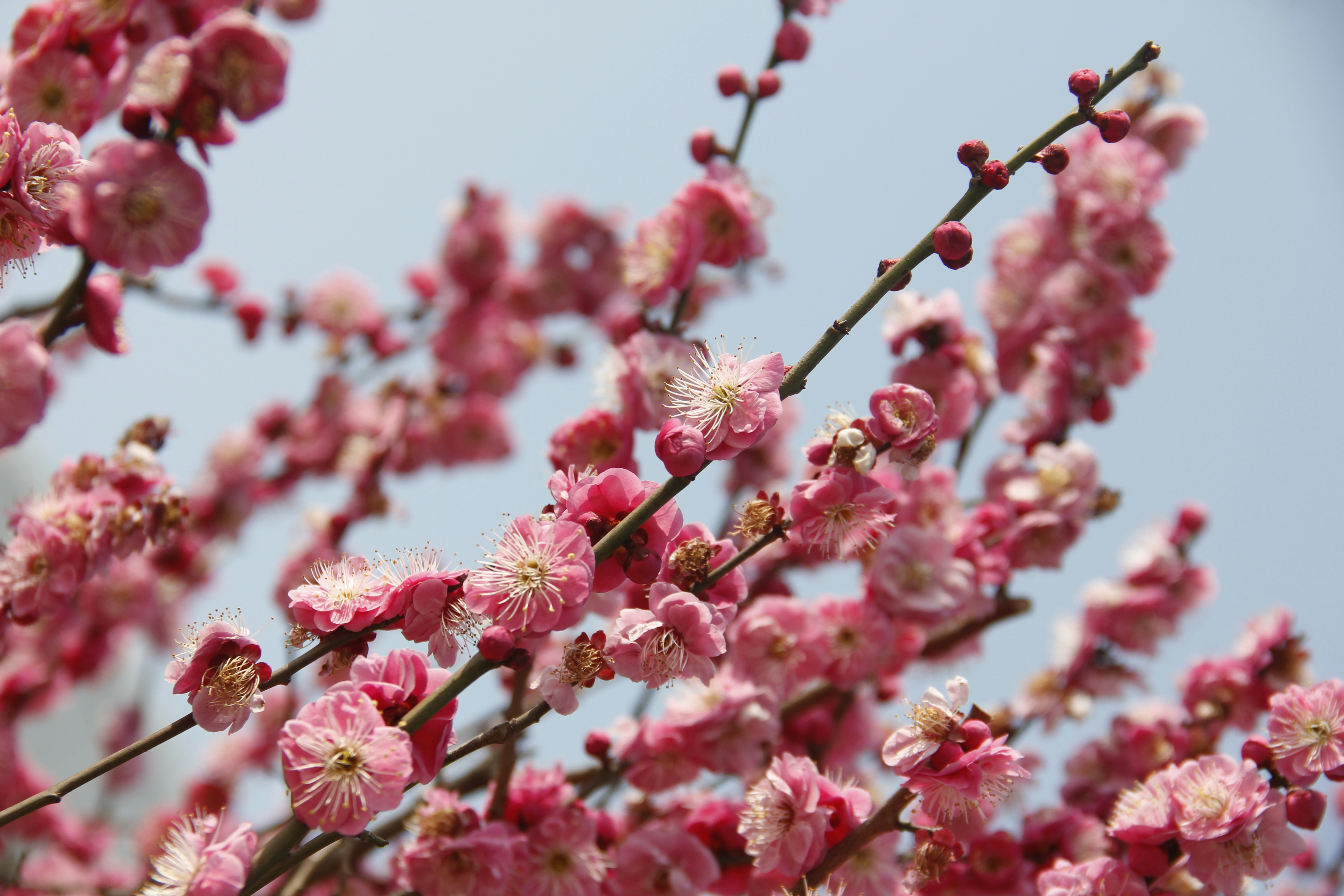 Photo by uttam_kumar