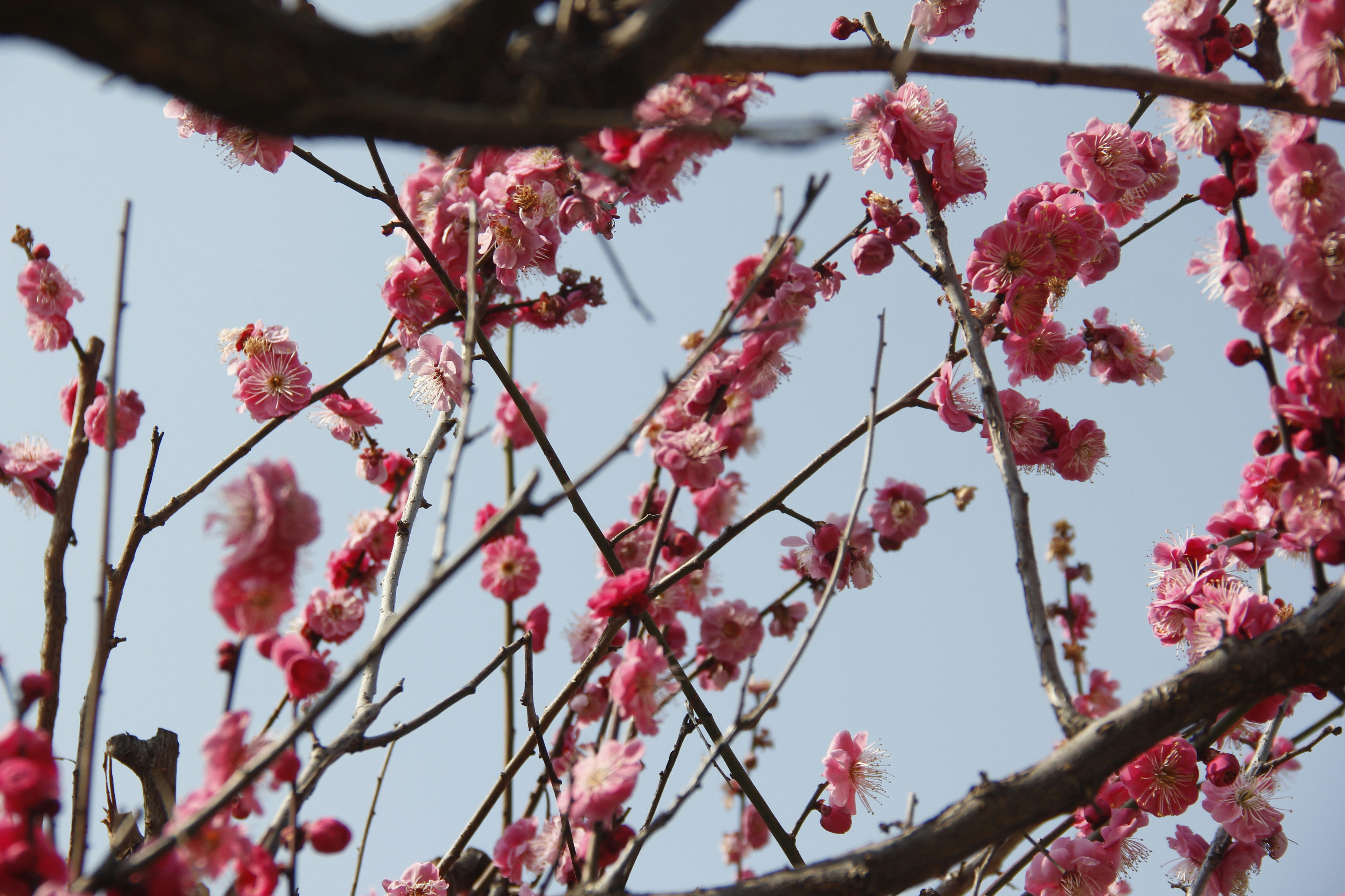 Photo by uttam_kumar