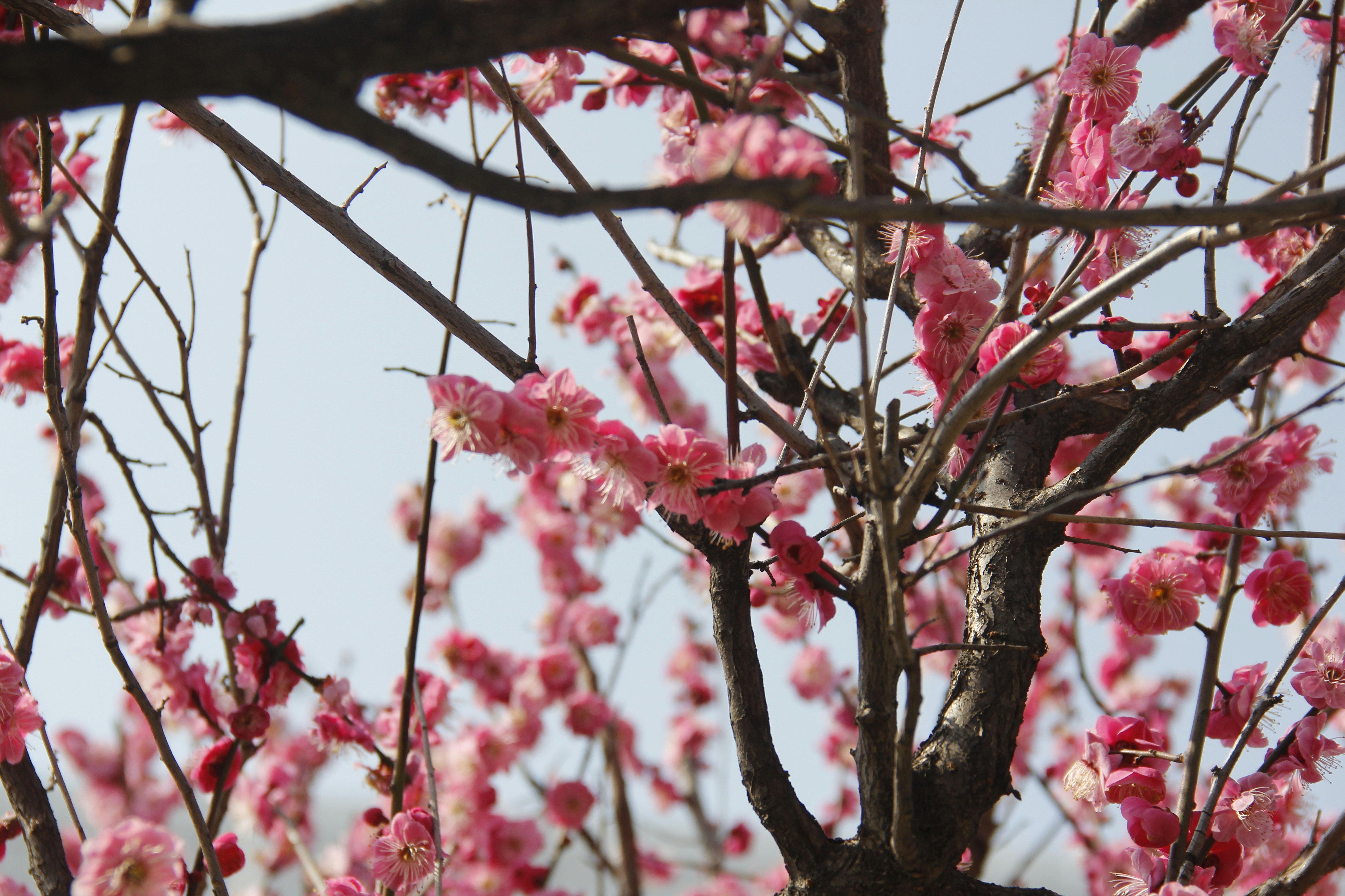 Photo by uttam_kumar