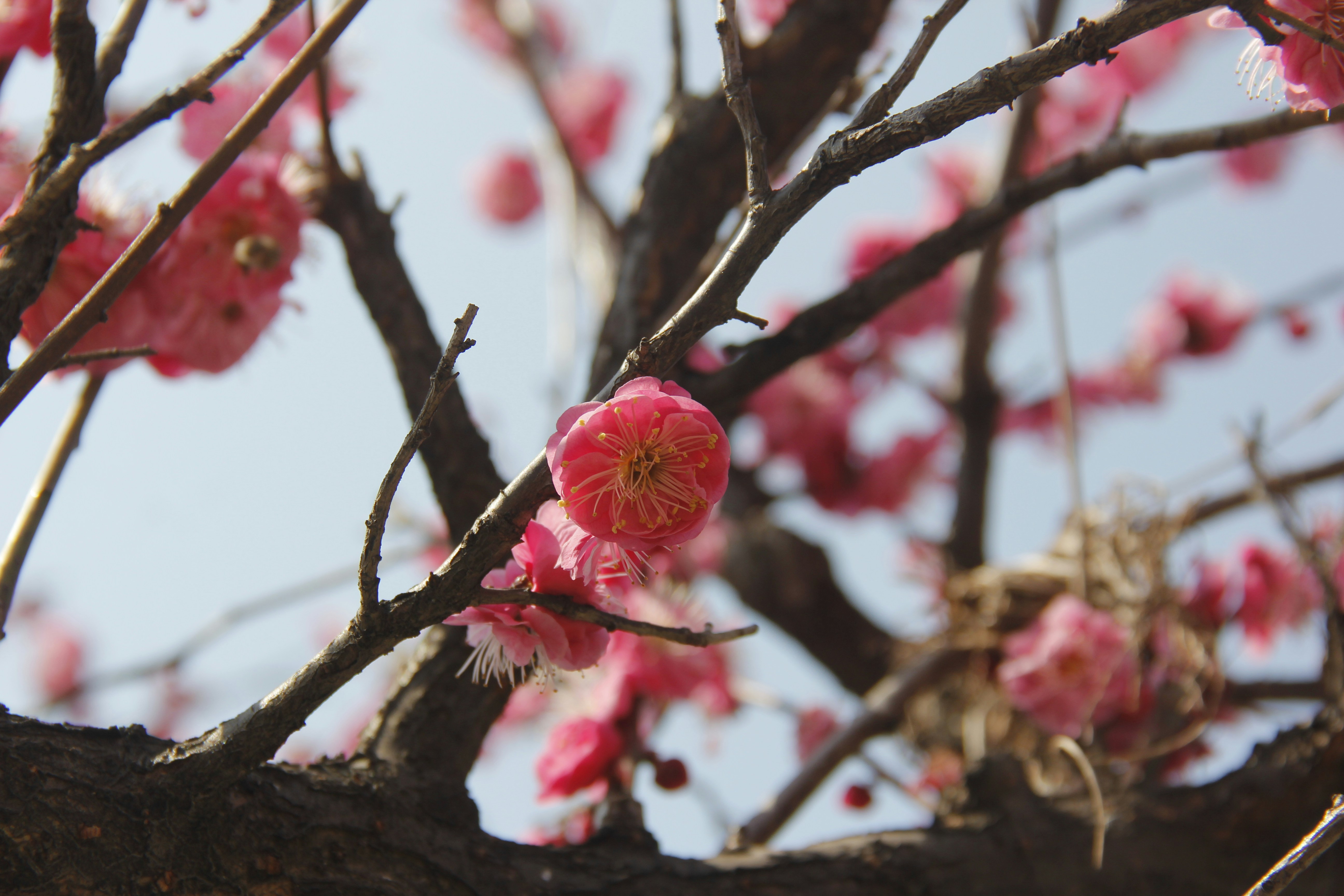 Photo by uttam_kumar