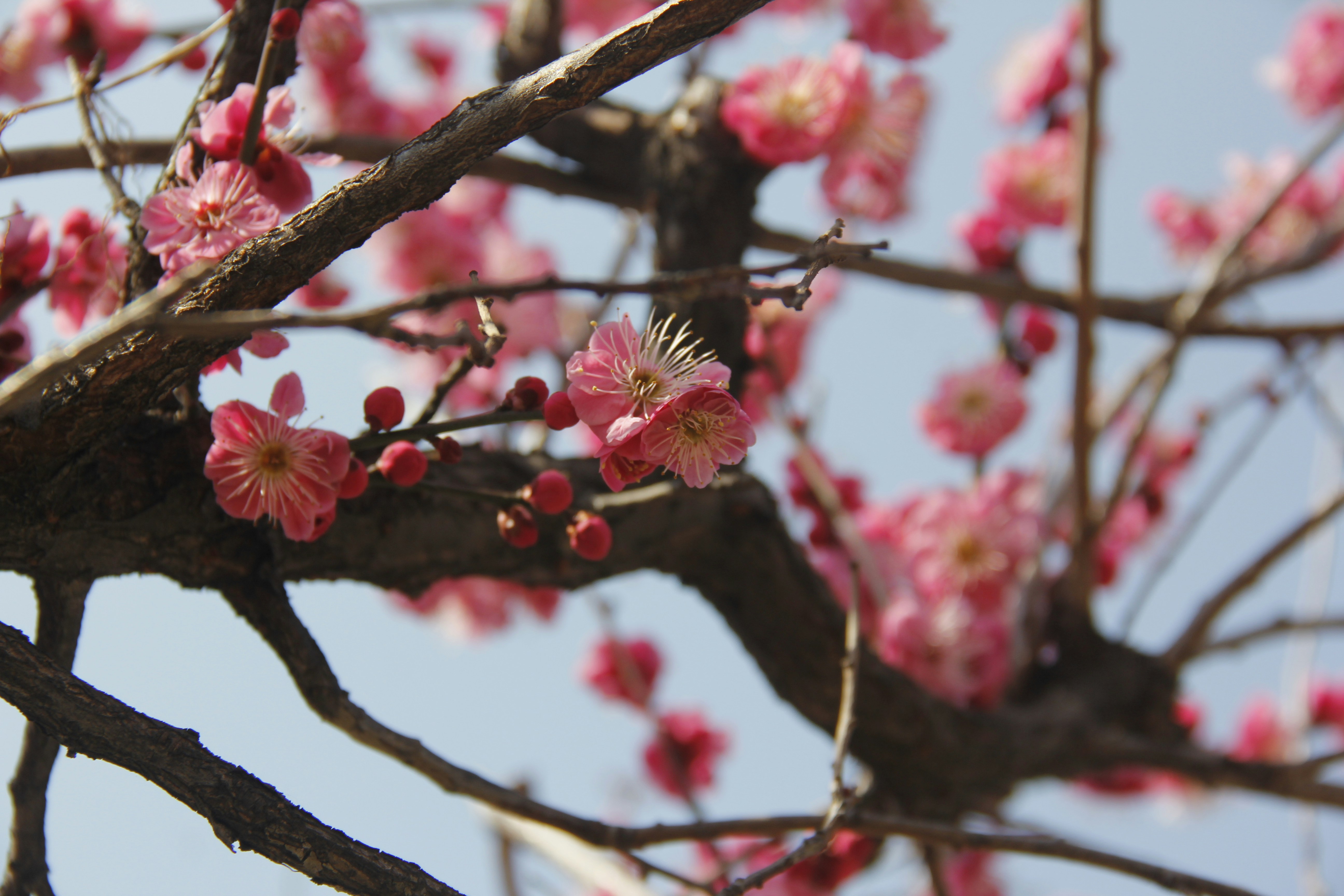 Photo by uttam_kumar