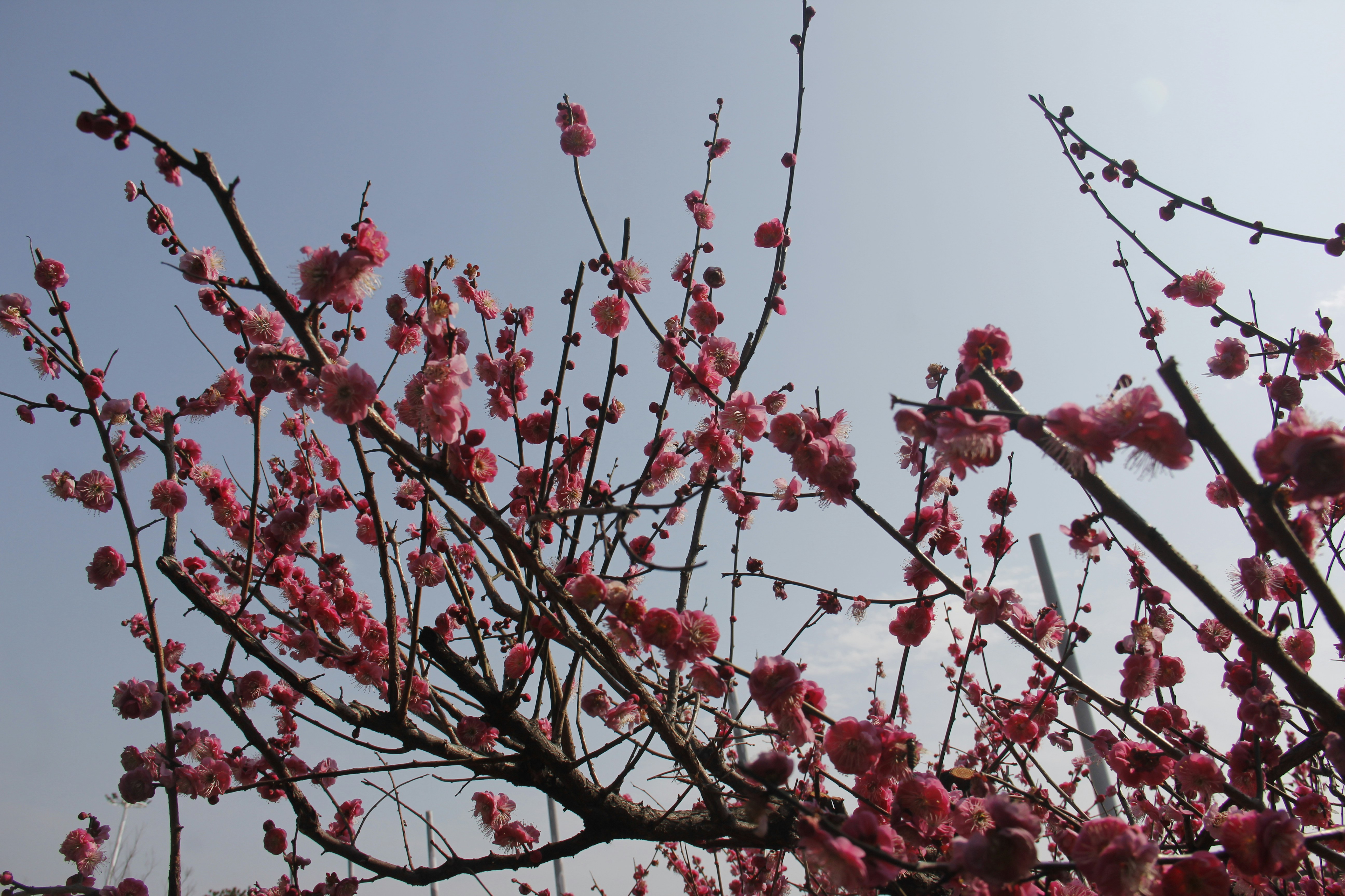 Photo by uttam_kumar