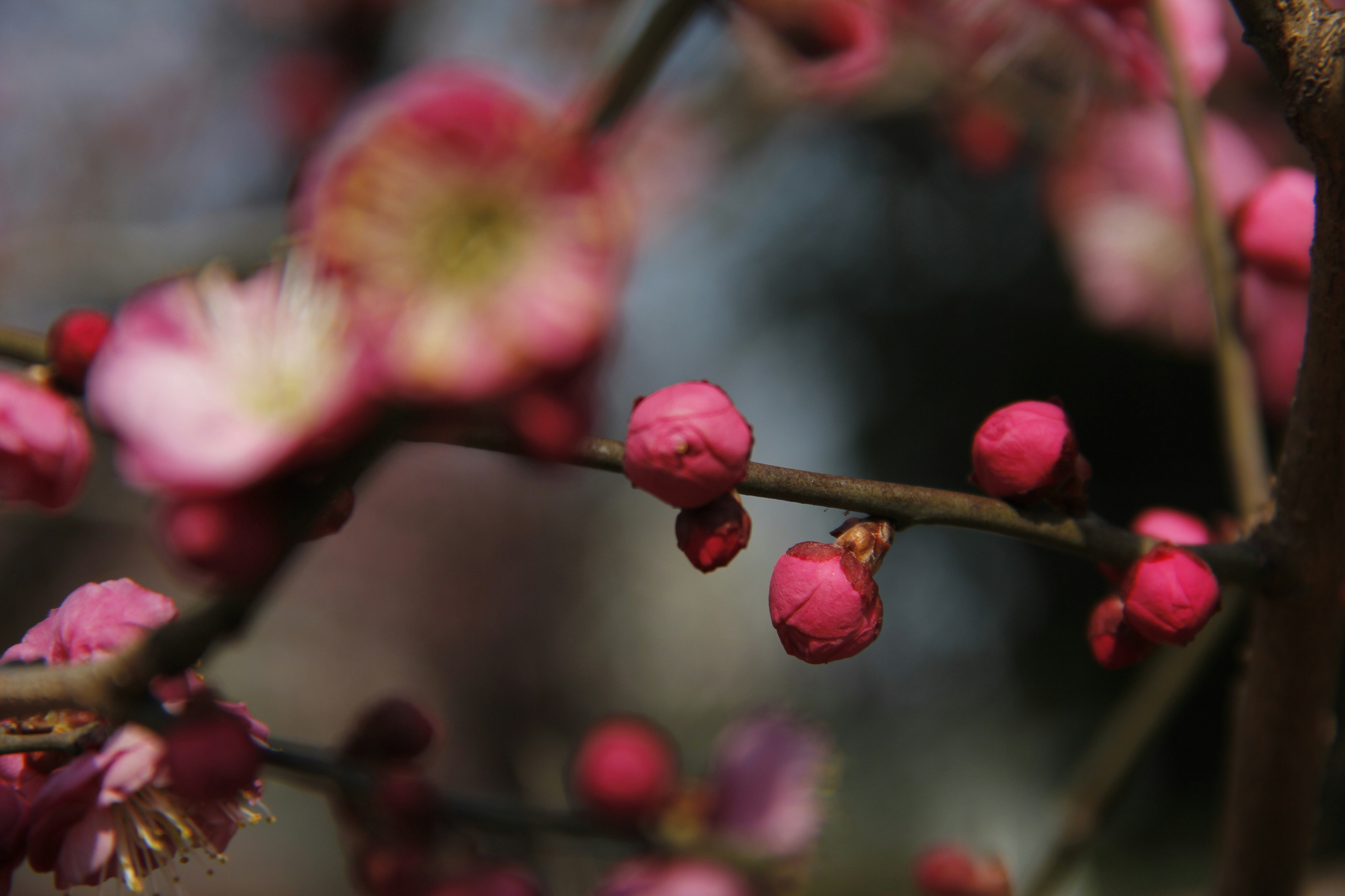 Photo by uttam_kumar