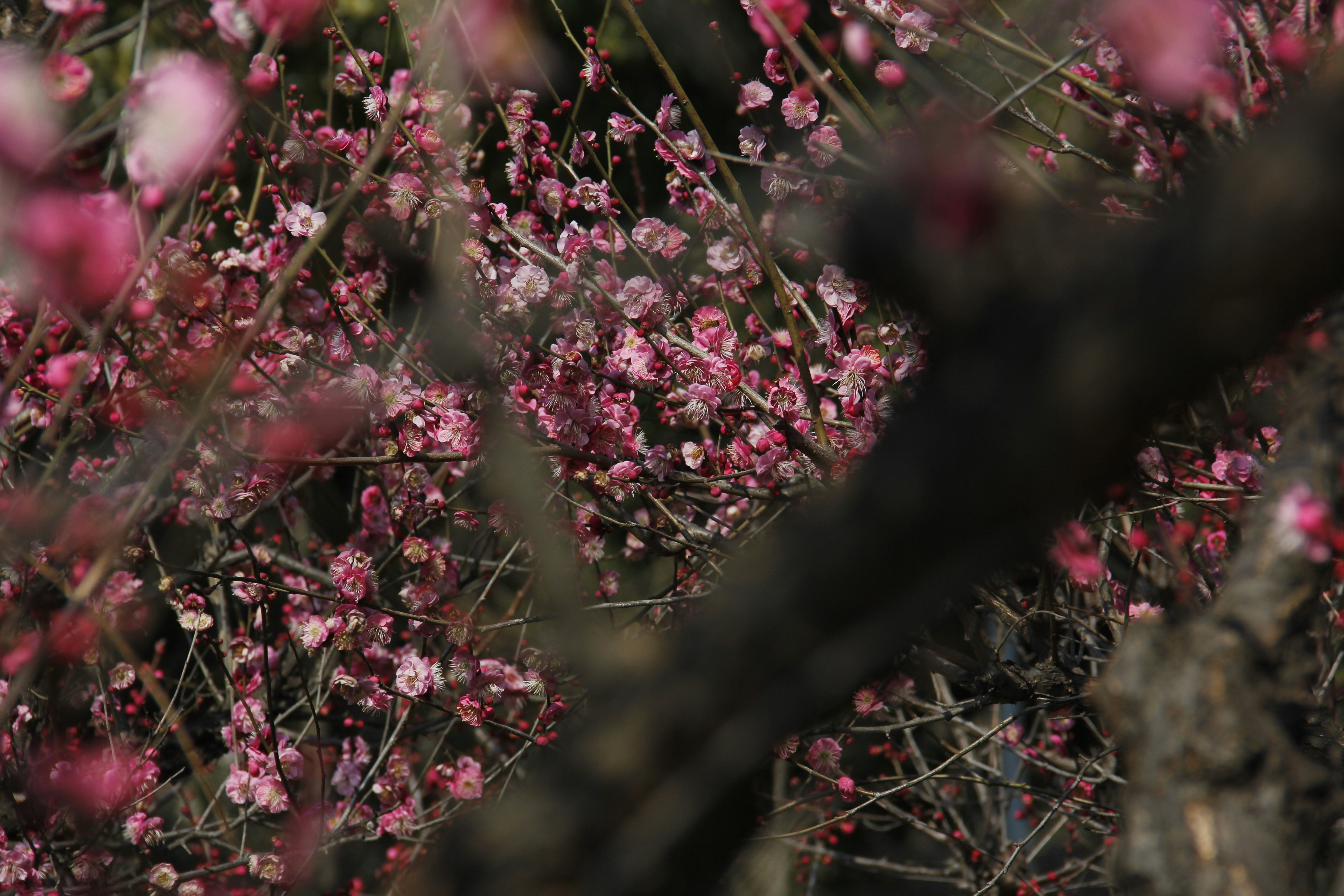 Photo by uttam_kumar