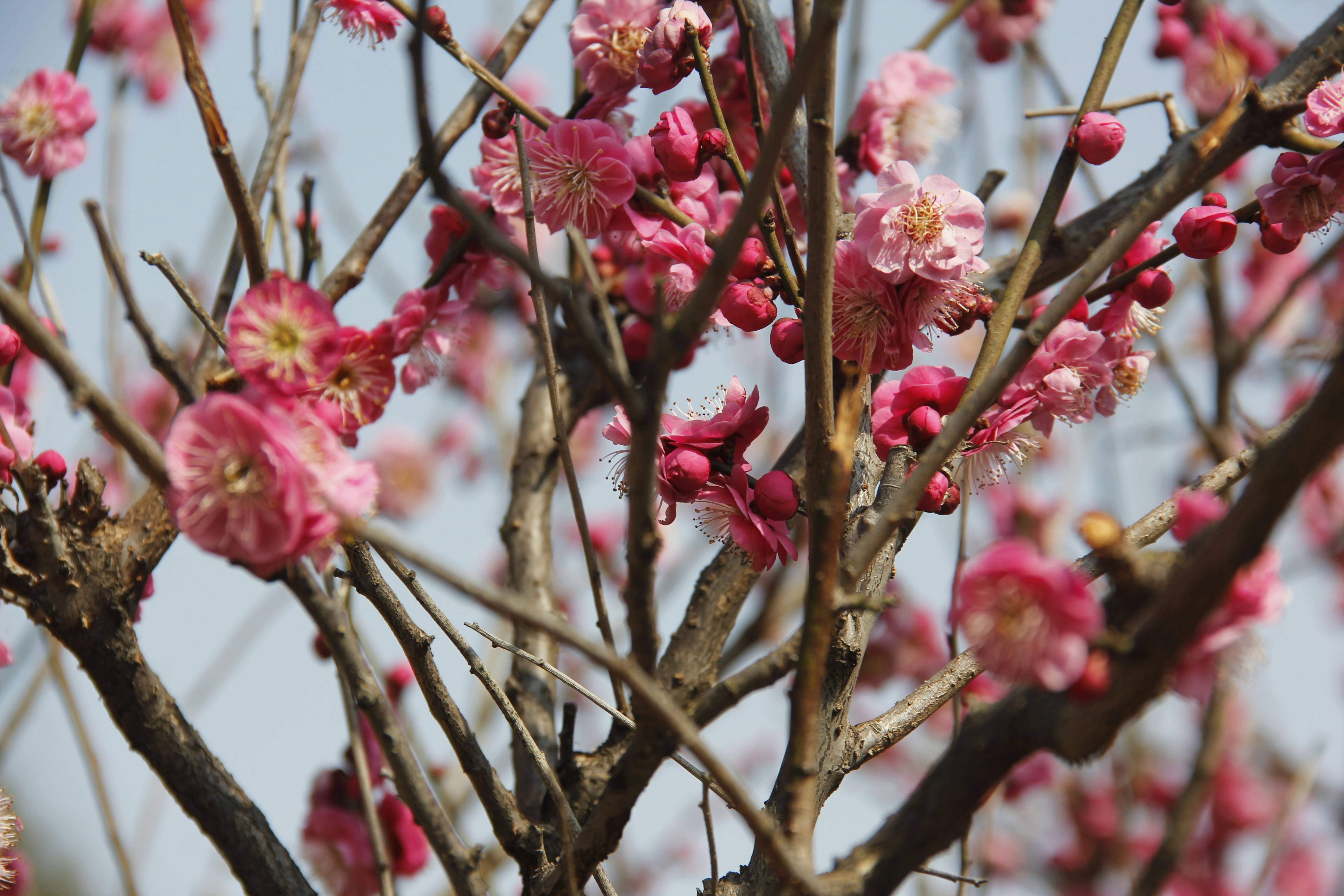 Photo by uttam_kumar