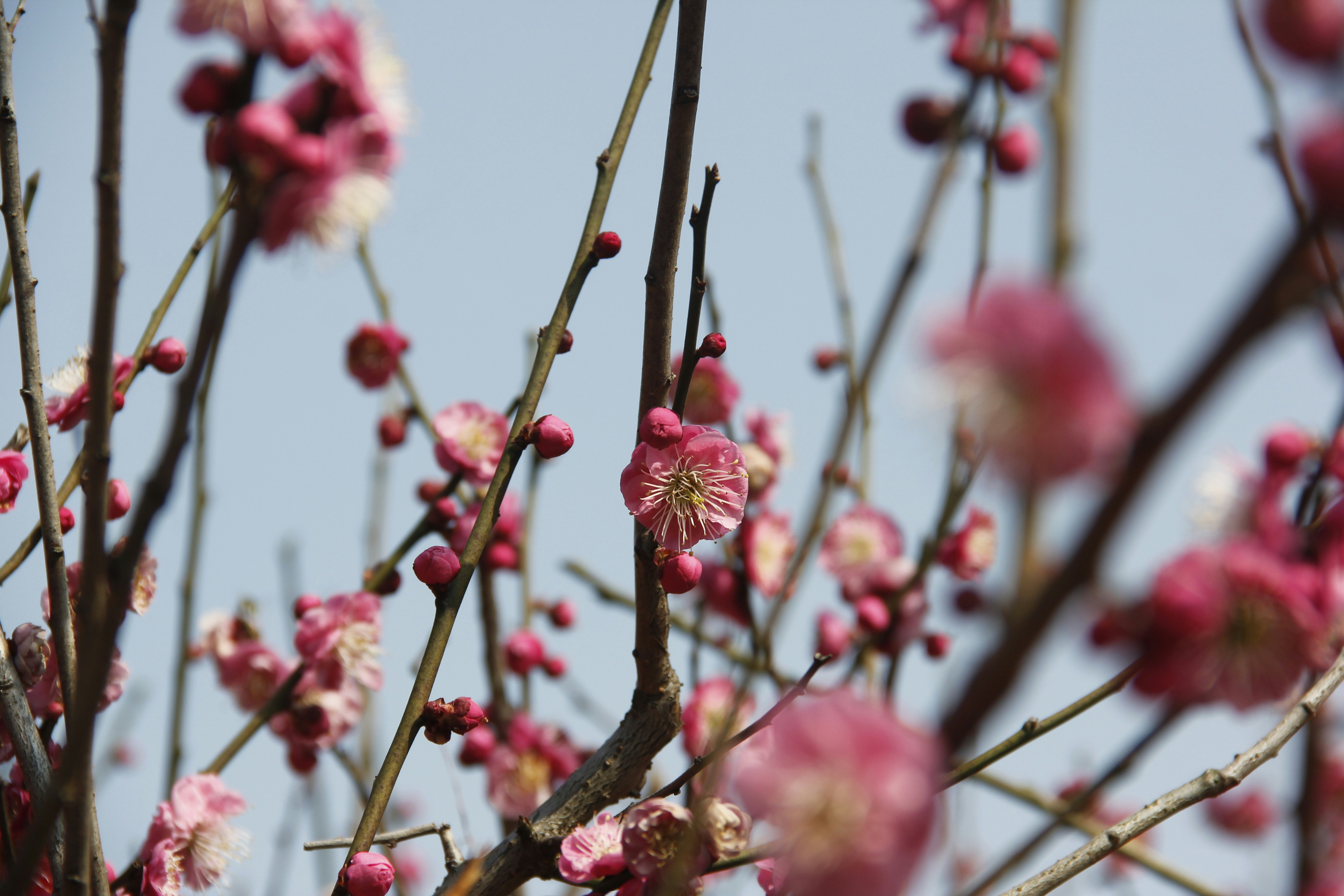 Photo by uttam_kumar