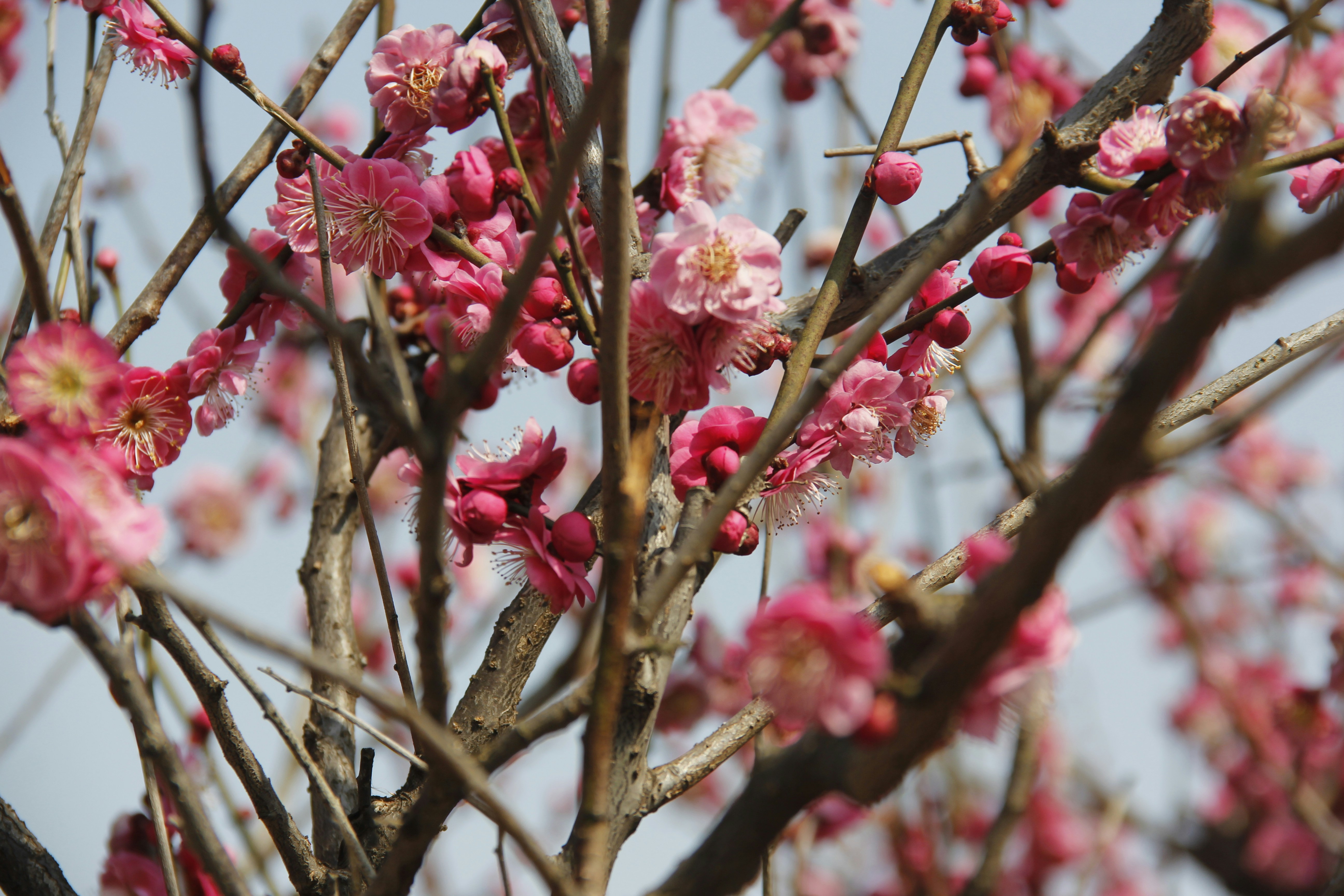 Photo by uttam_kumar