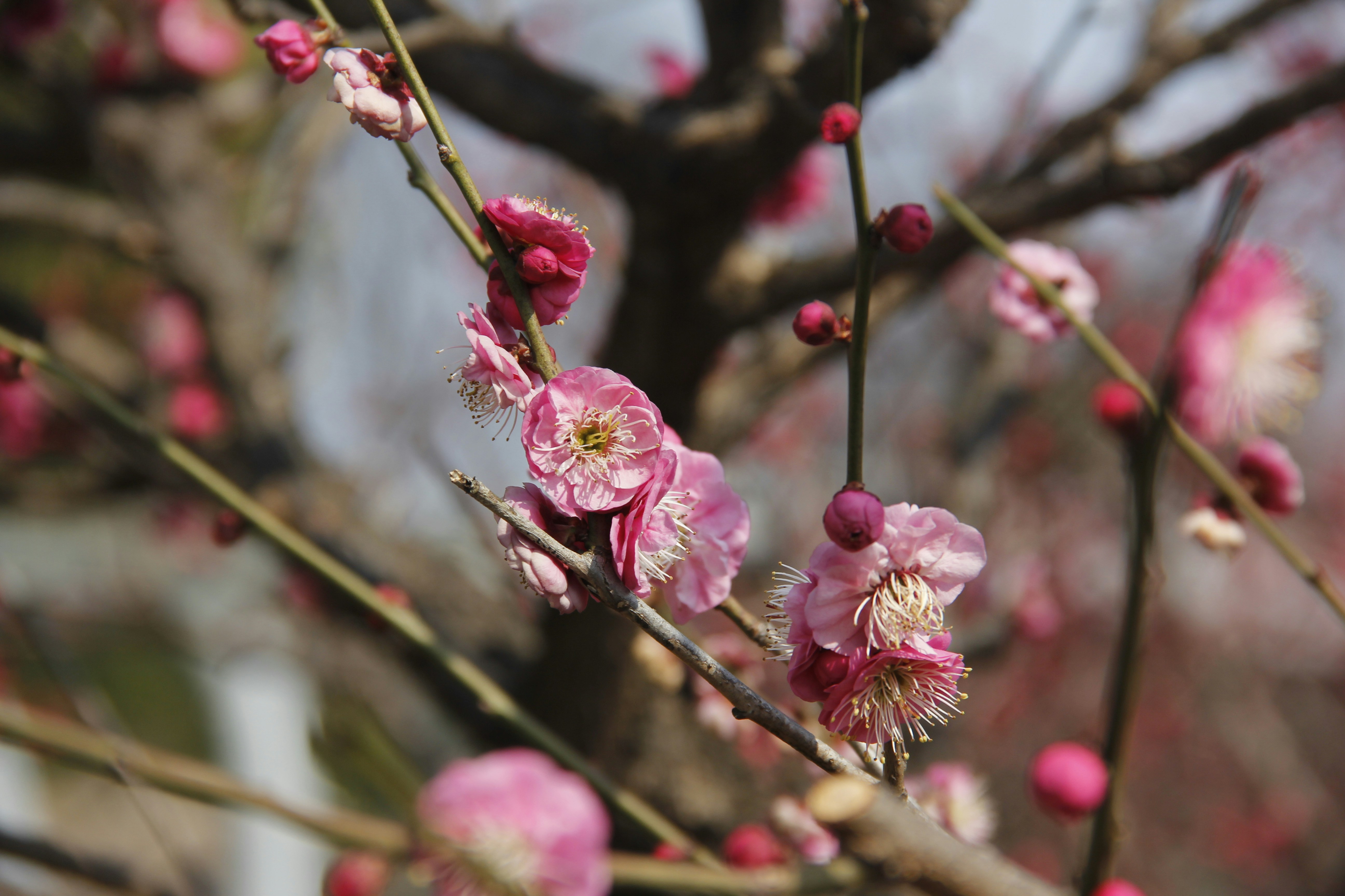 Photo by uttam_kumar