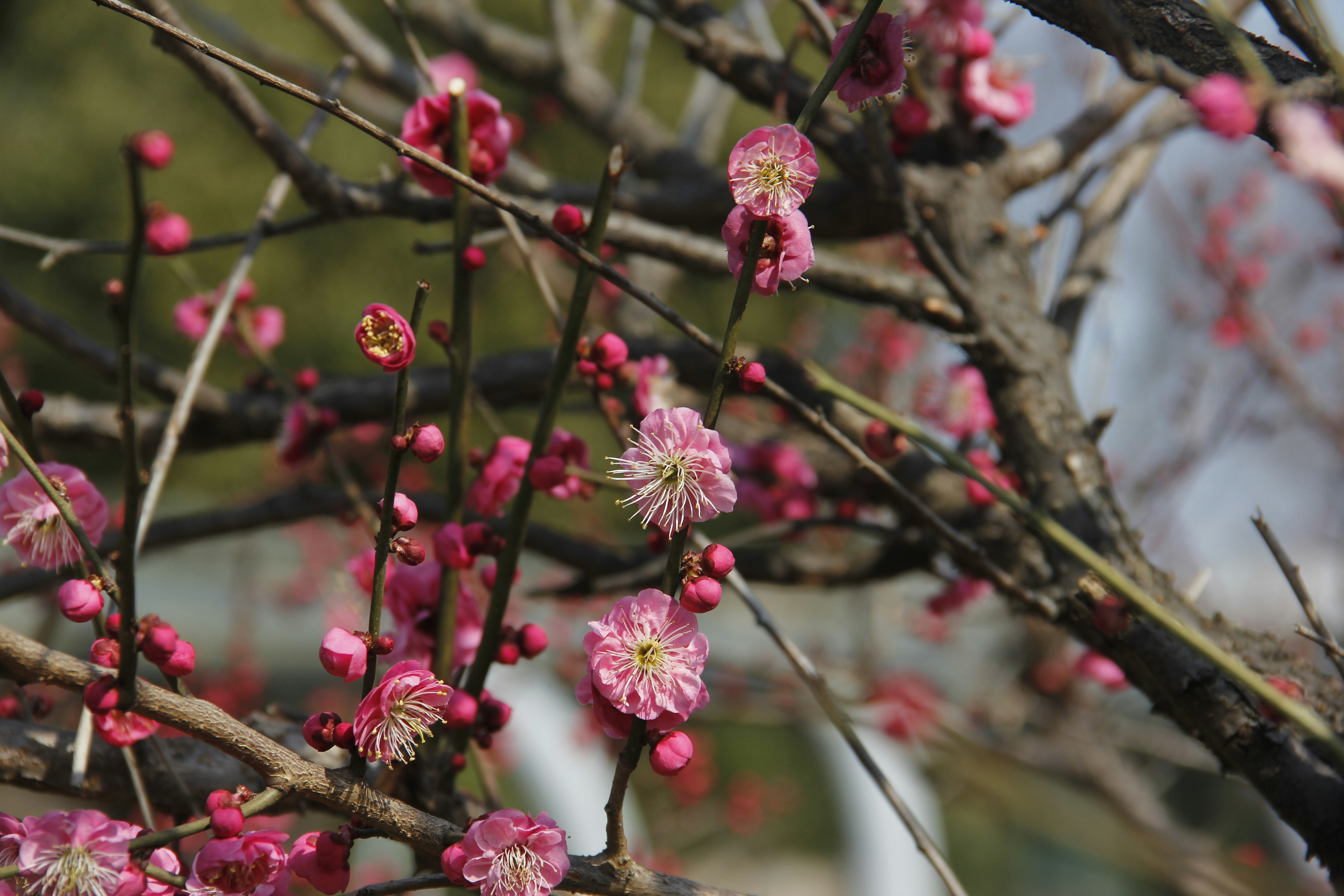 Photo by uttam_kumar