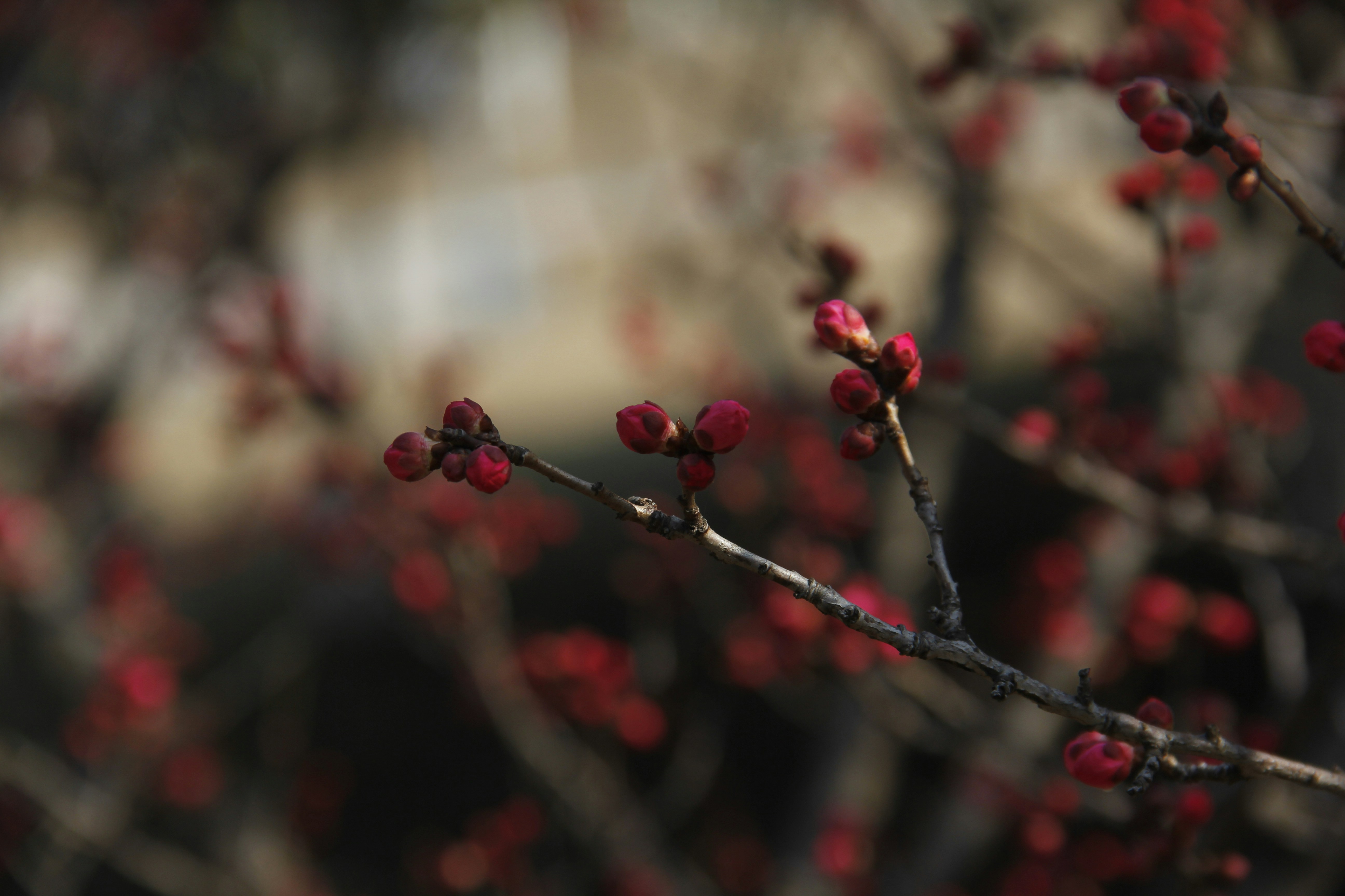 Photo by uttam_kumar