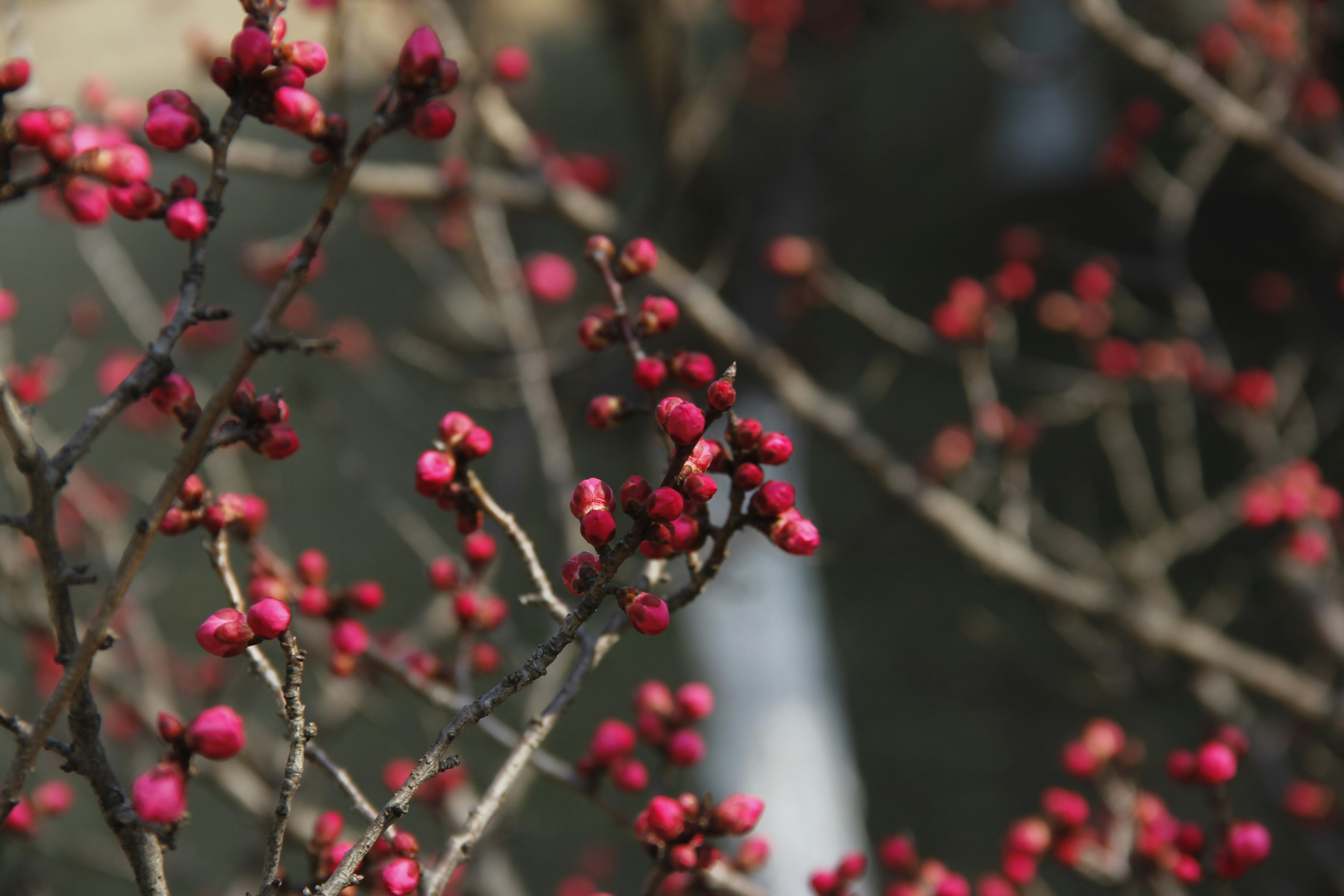 Photo by uttam_kumar