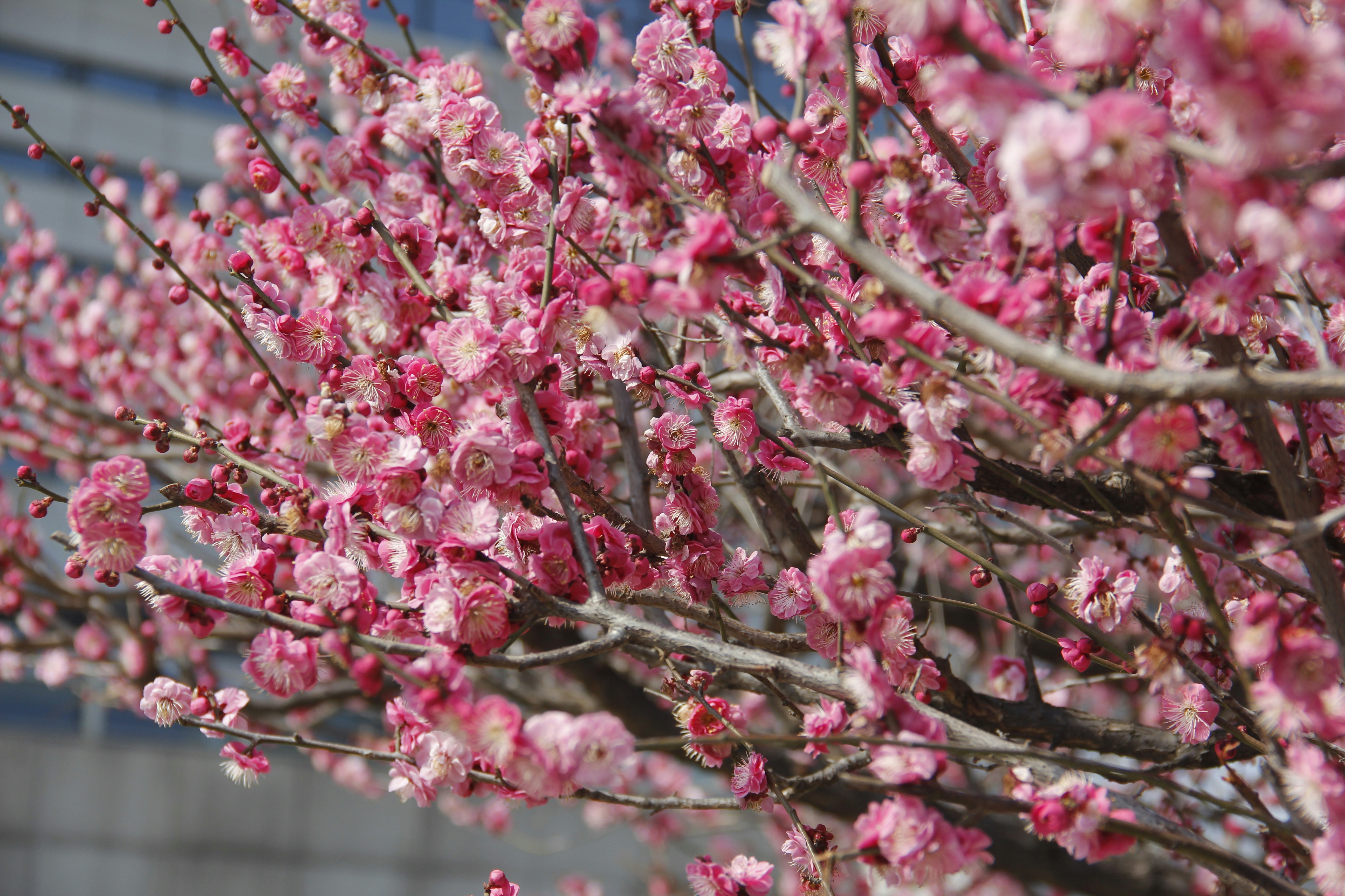 Photo by uttam_kumar