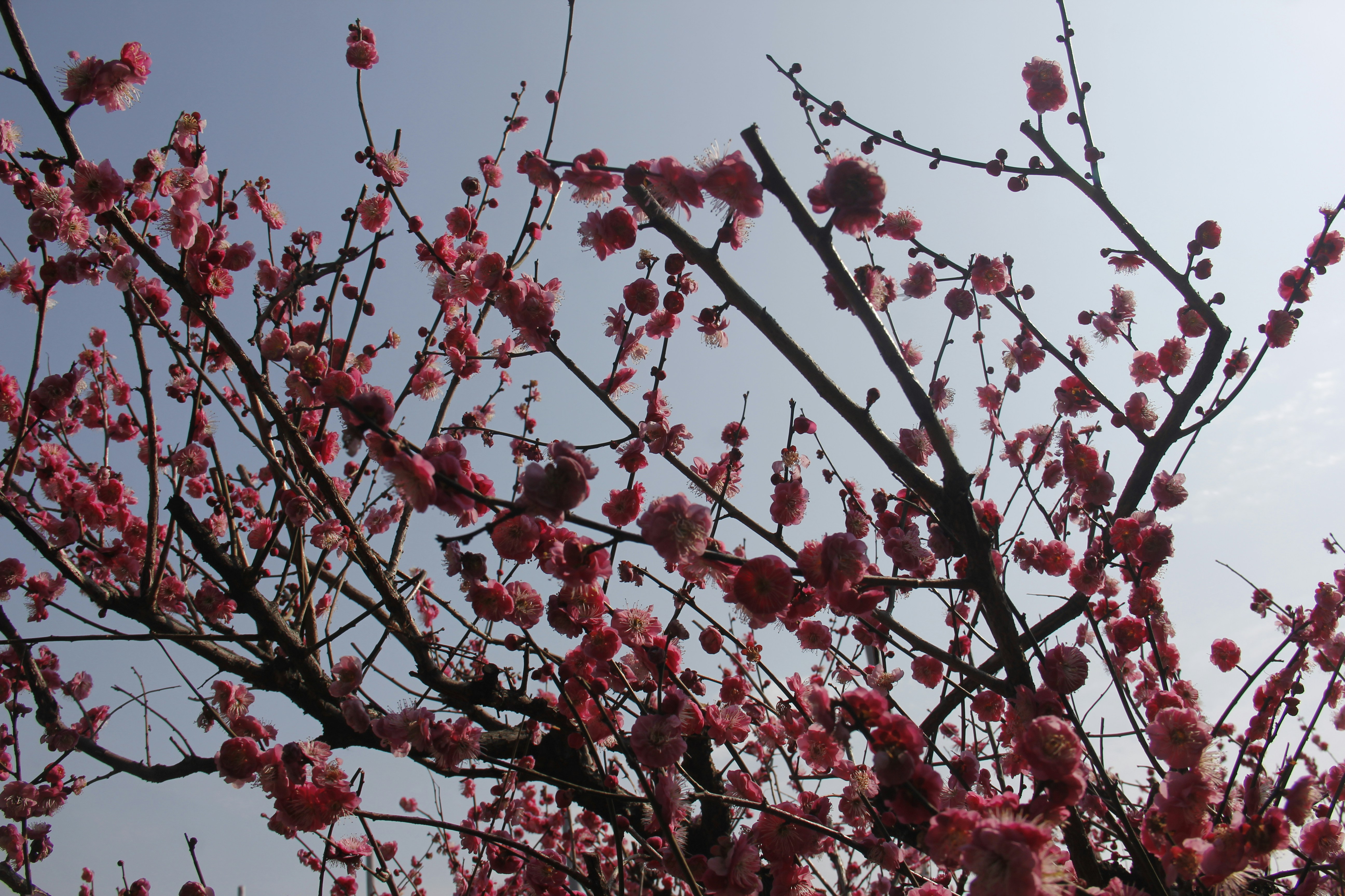 Photo by uttam_kumar