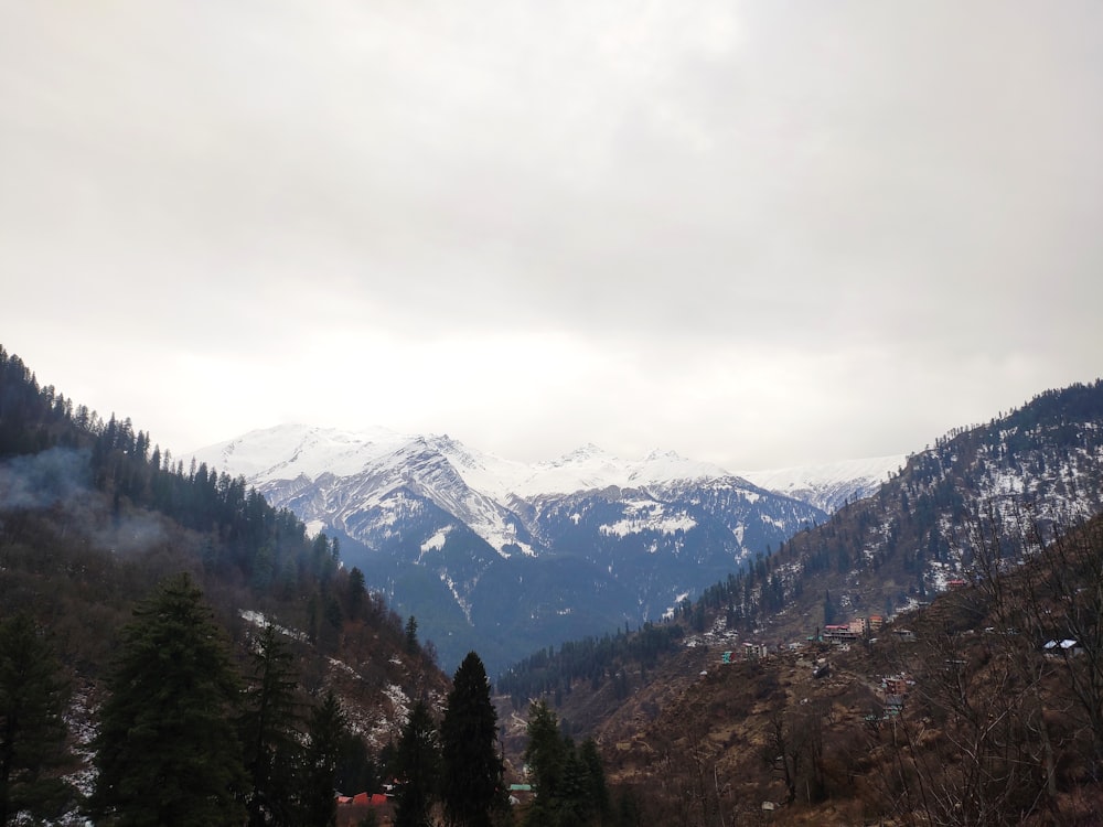 the mountains are covered in snow and trees