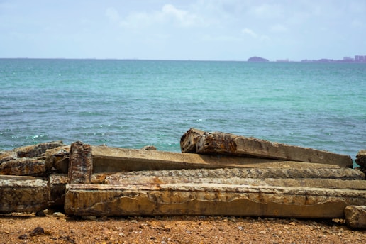a pile of logs sitting on top of a beach next to the ocean