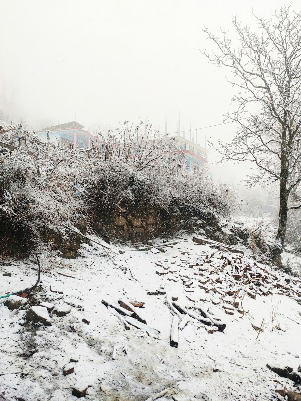 a snow covered hillside with trees and a building in the background