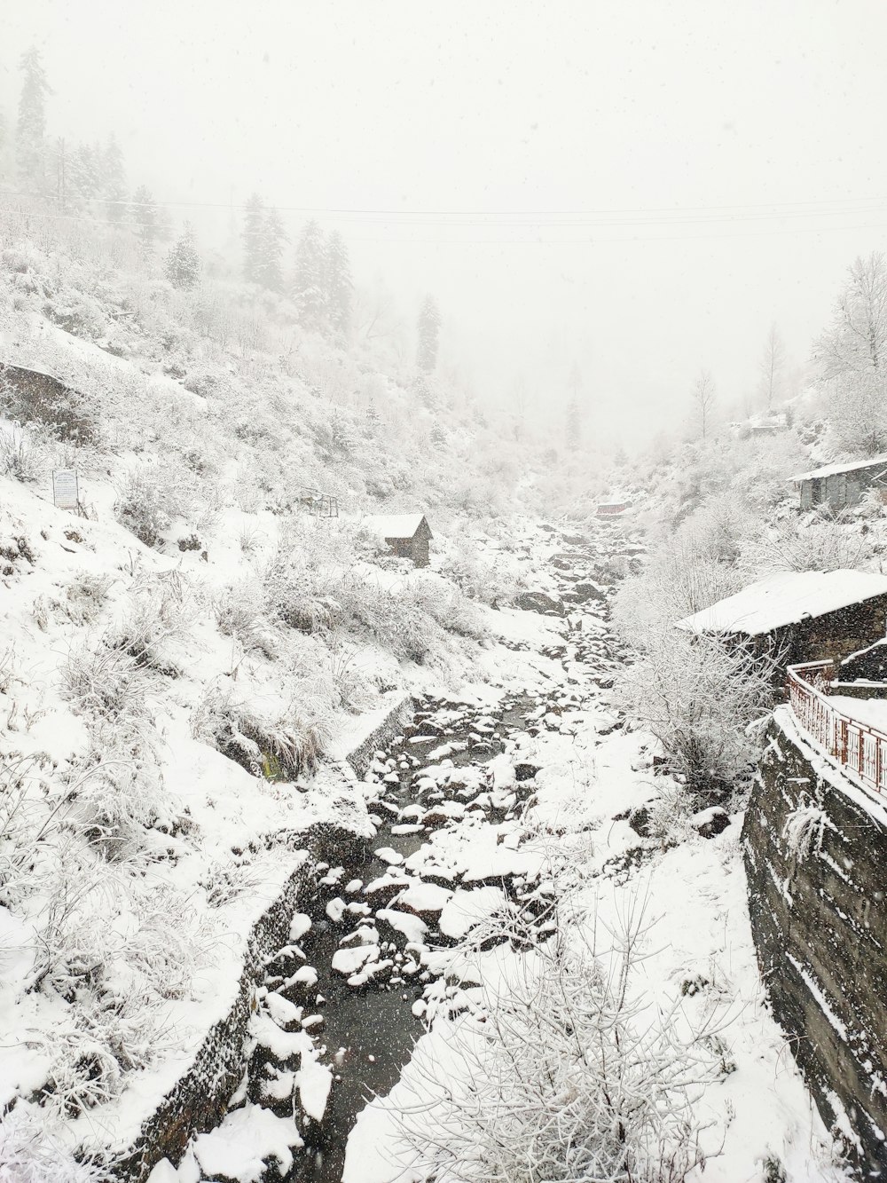 a stream running through a snow covered forest