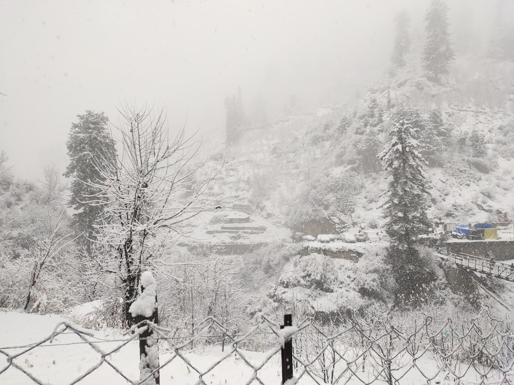 a snow covered mountain with trees and a fence