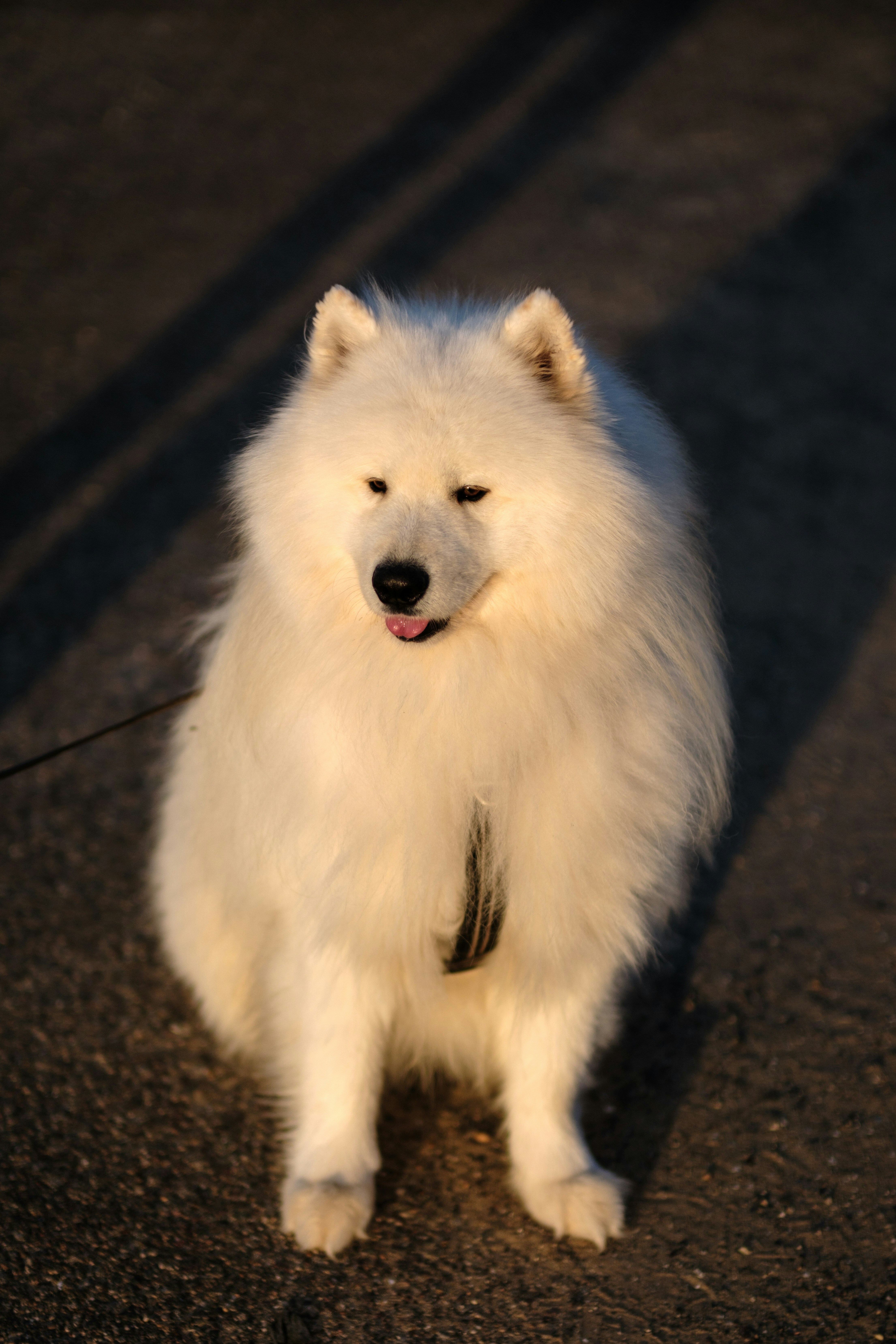 Photo by haberdoedas2