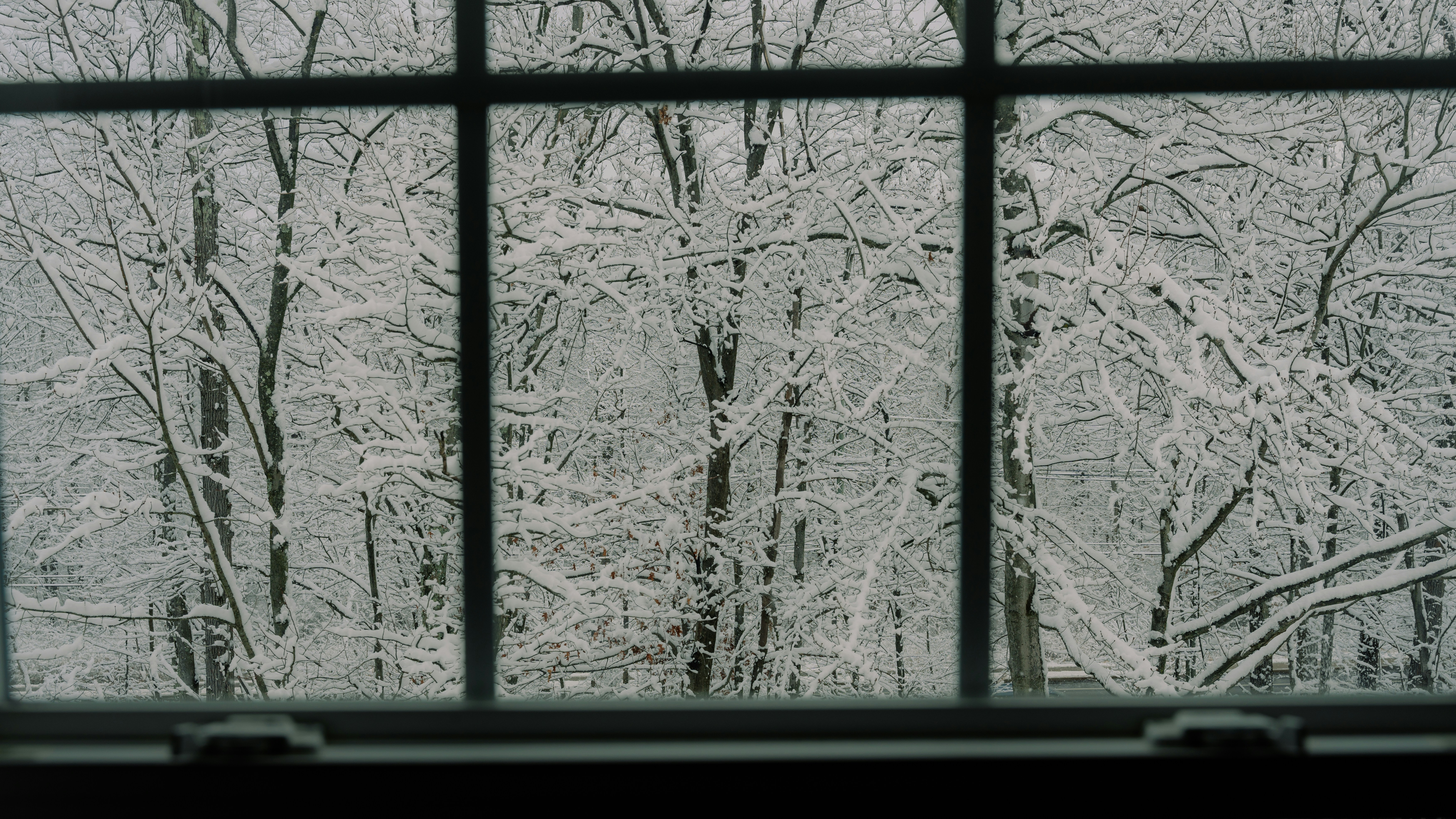 🌊 The Homes That Hold Steady