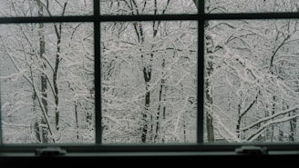 a window with a view of a snowy forest