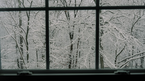 a window with a view of a snowy forest