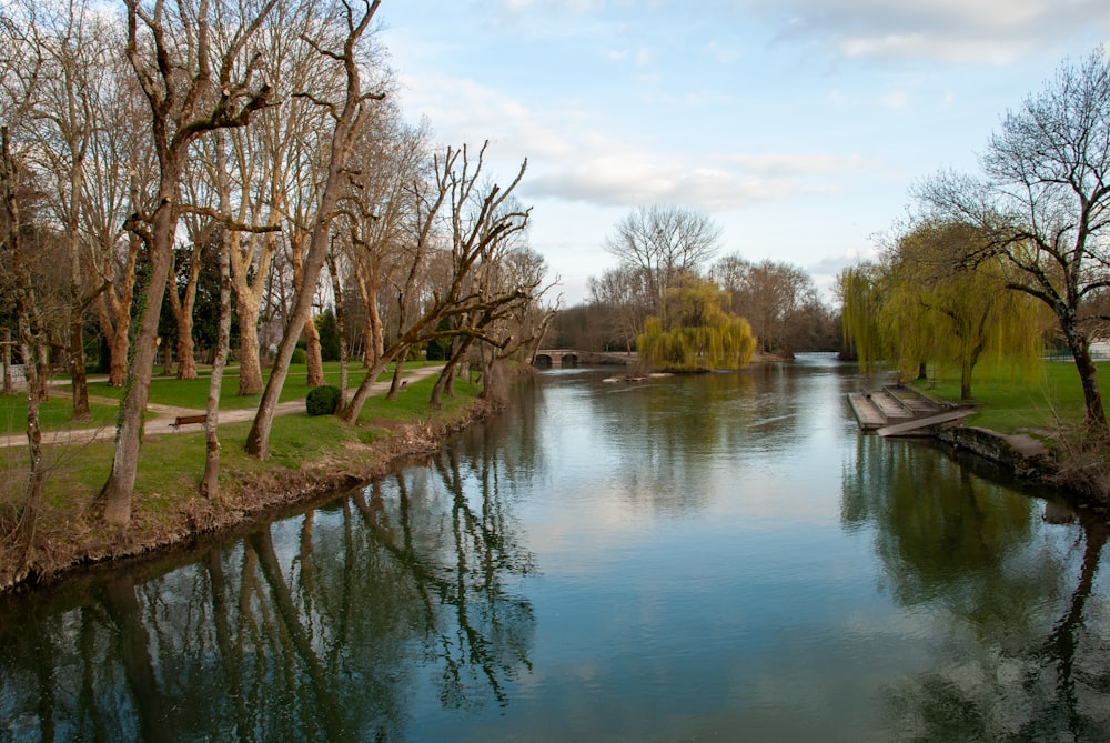 a river running through a lush green park