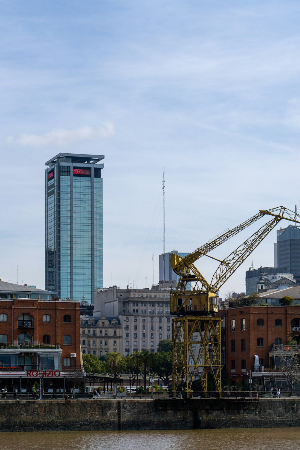 Une grue se trouve sur le côté d’un plan d’eau