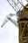 a large crane is attached to the side of a building