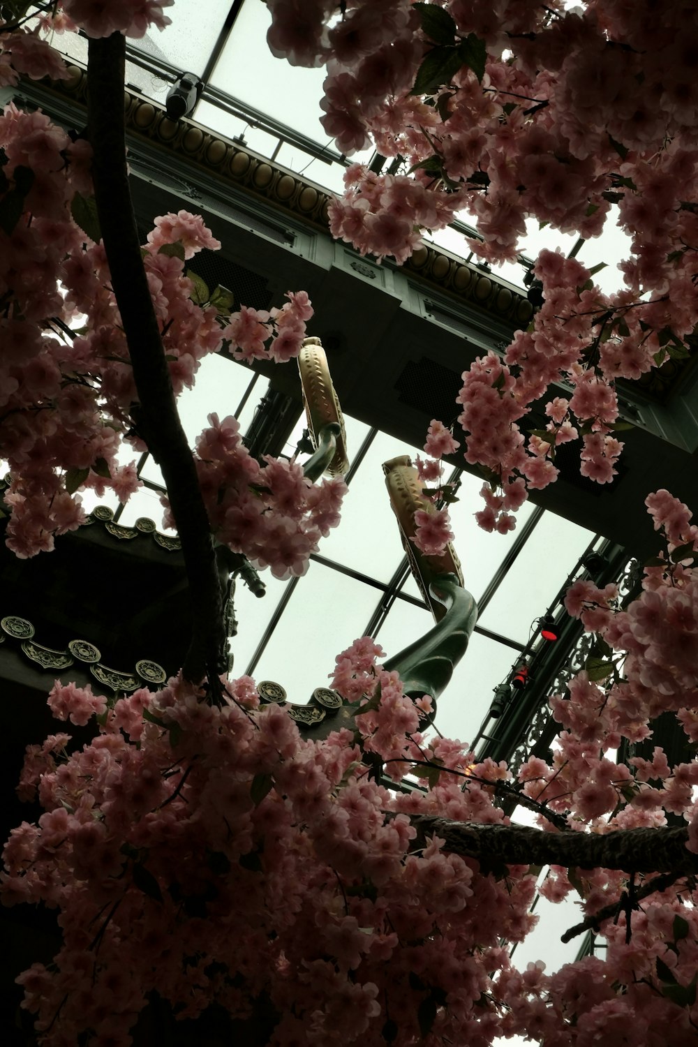 a man standing under a tree filled with pink flowers