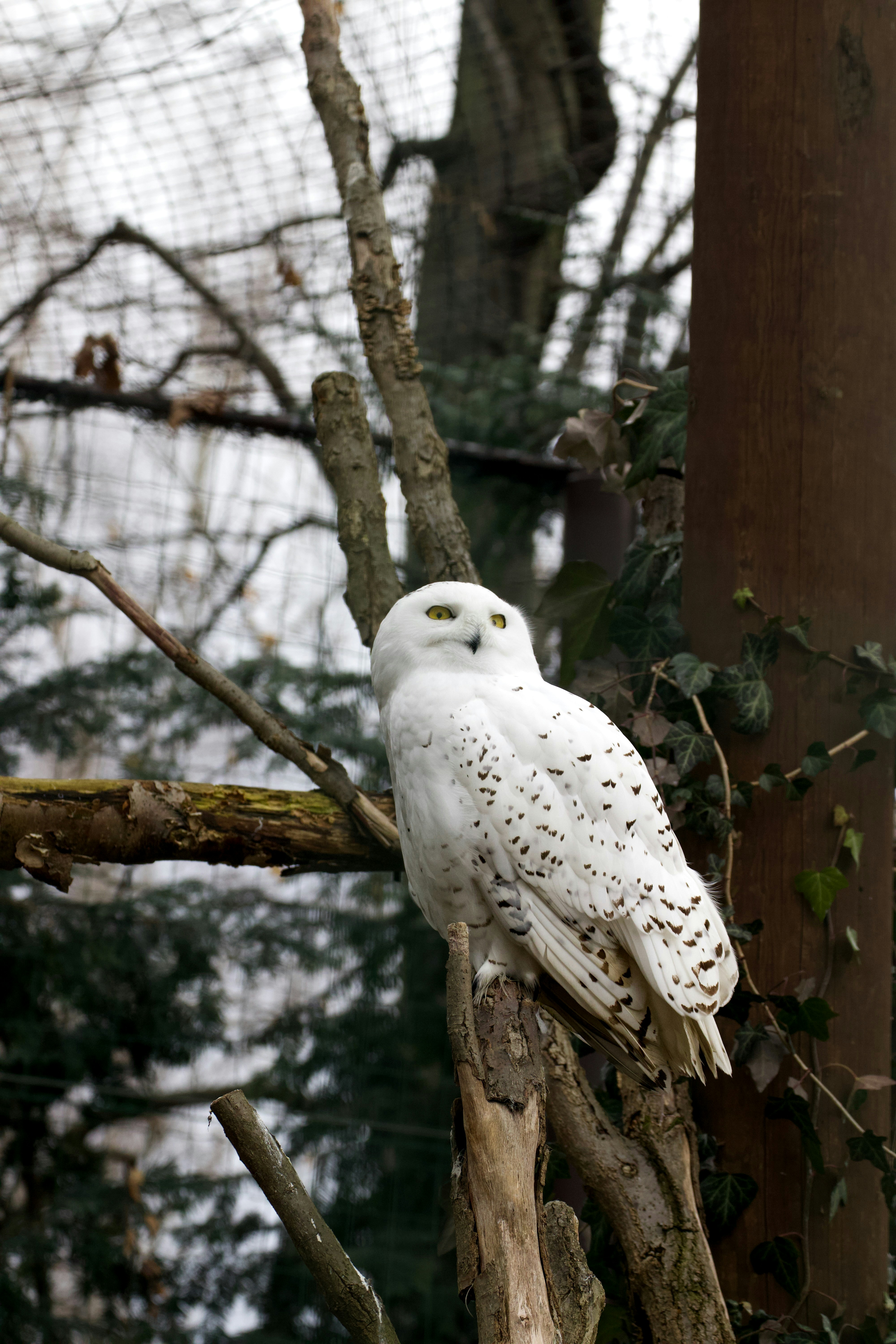 Photo by jakub_neskora