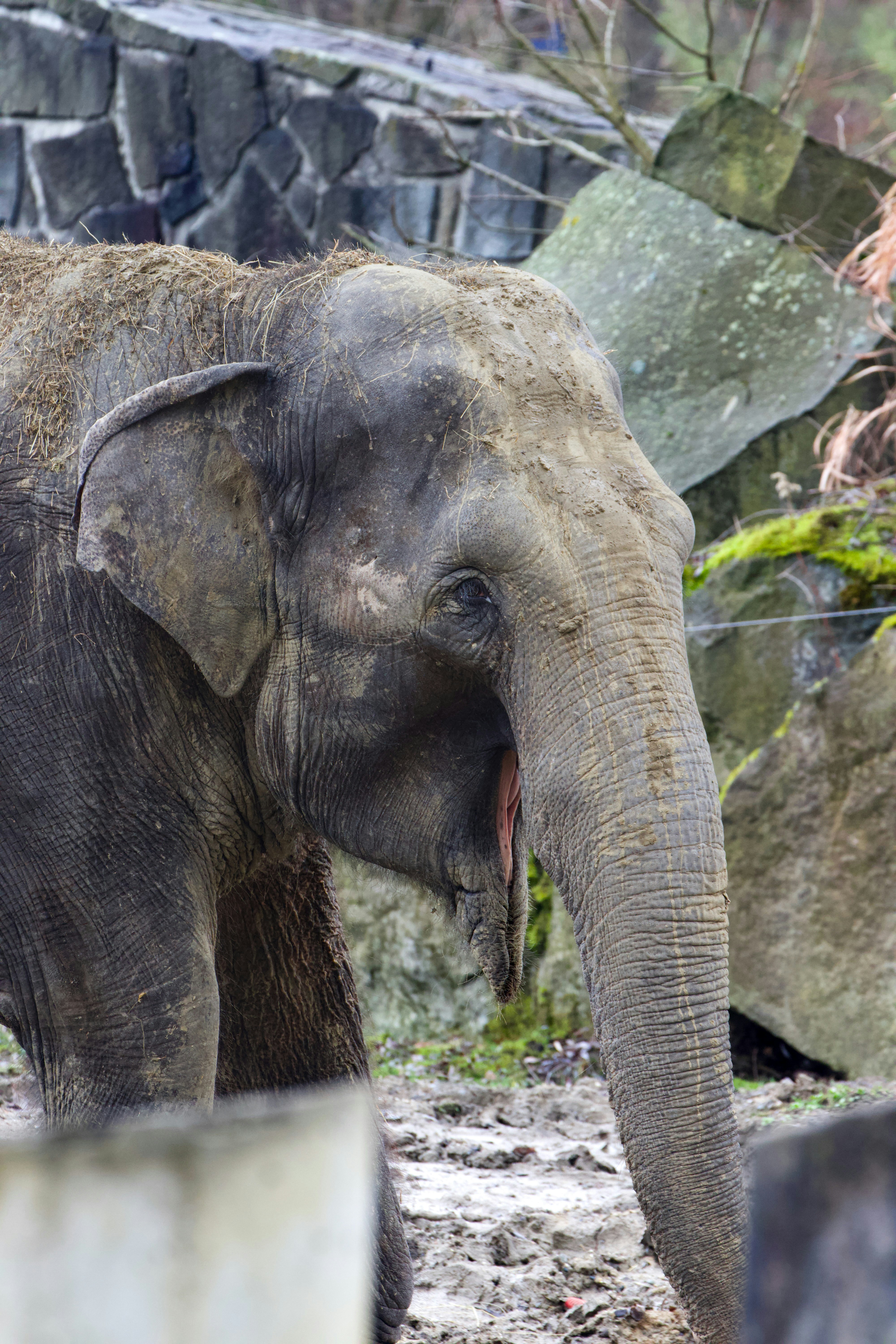 Photo by jakub_neskora