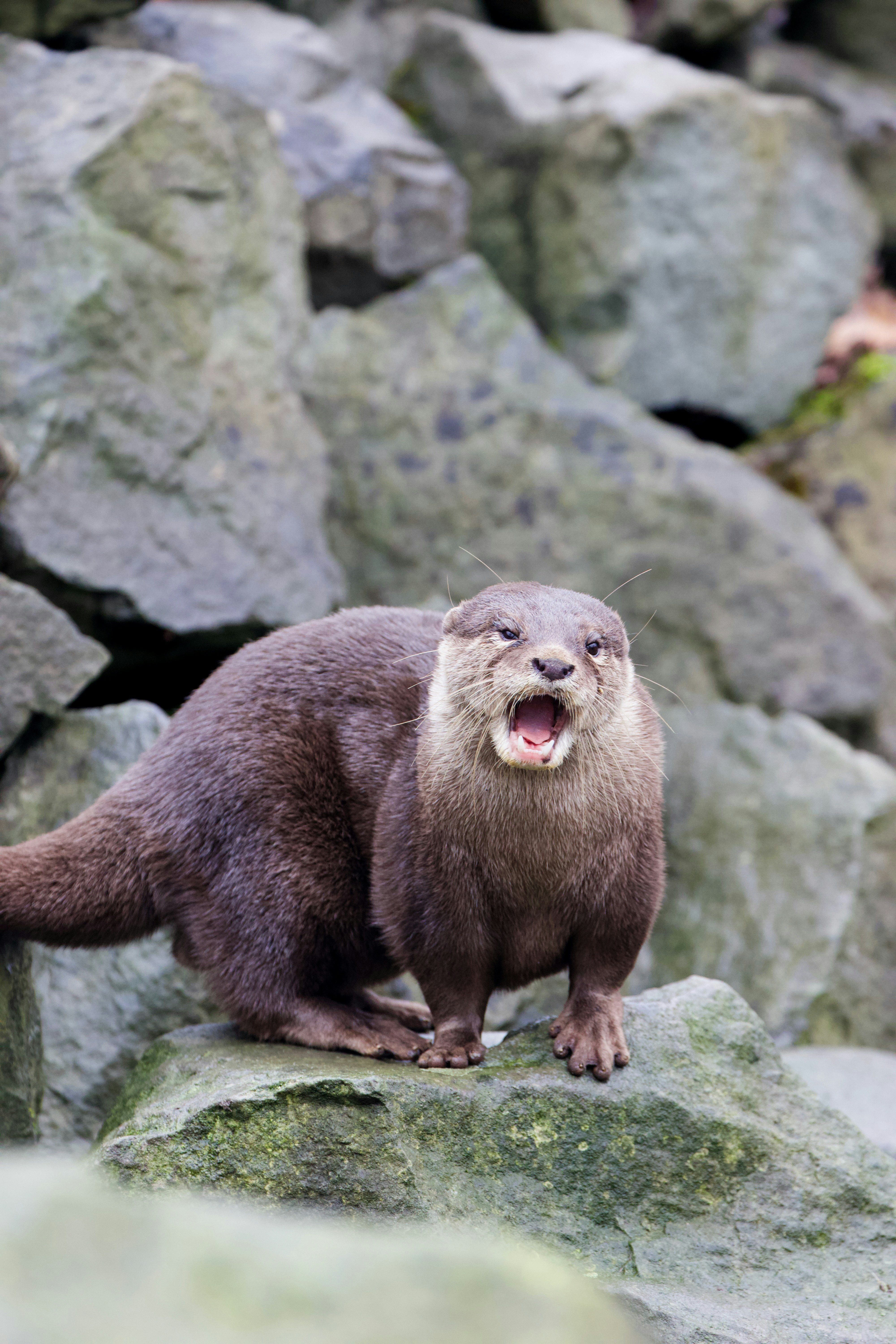 Photo by jakub_neskora