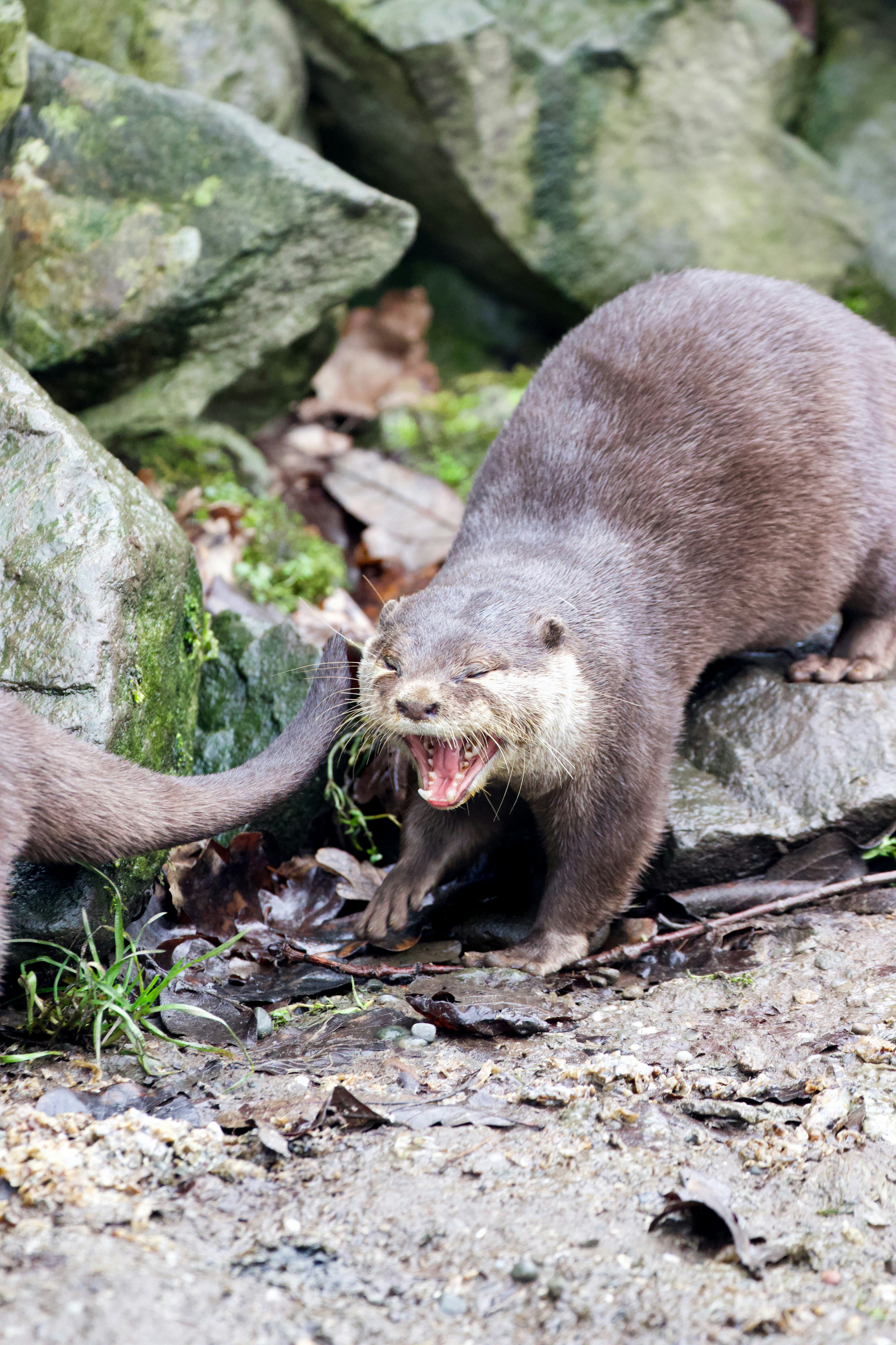 Photo by jakub_neskora