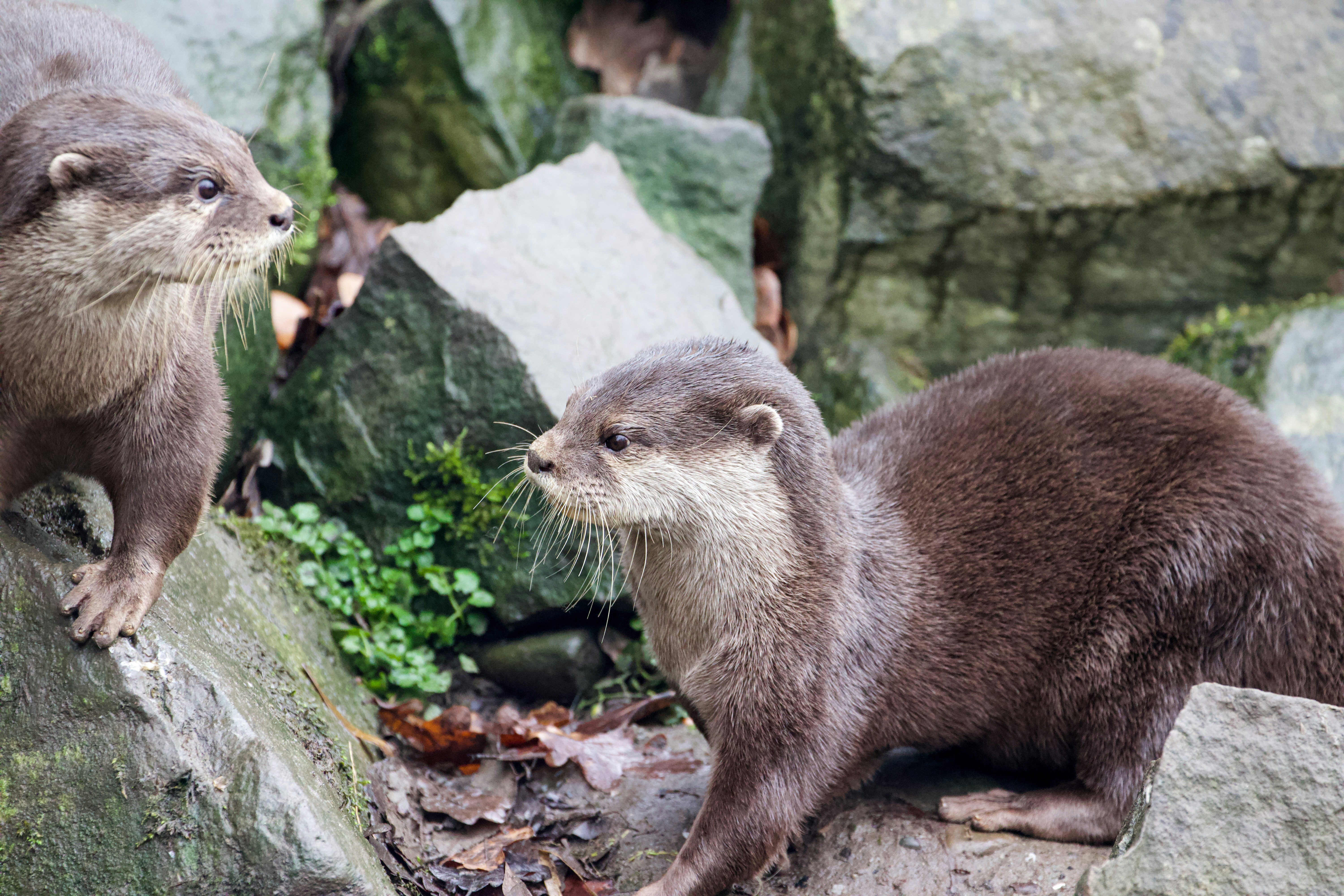 Photo by jakub_neskora