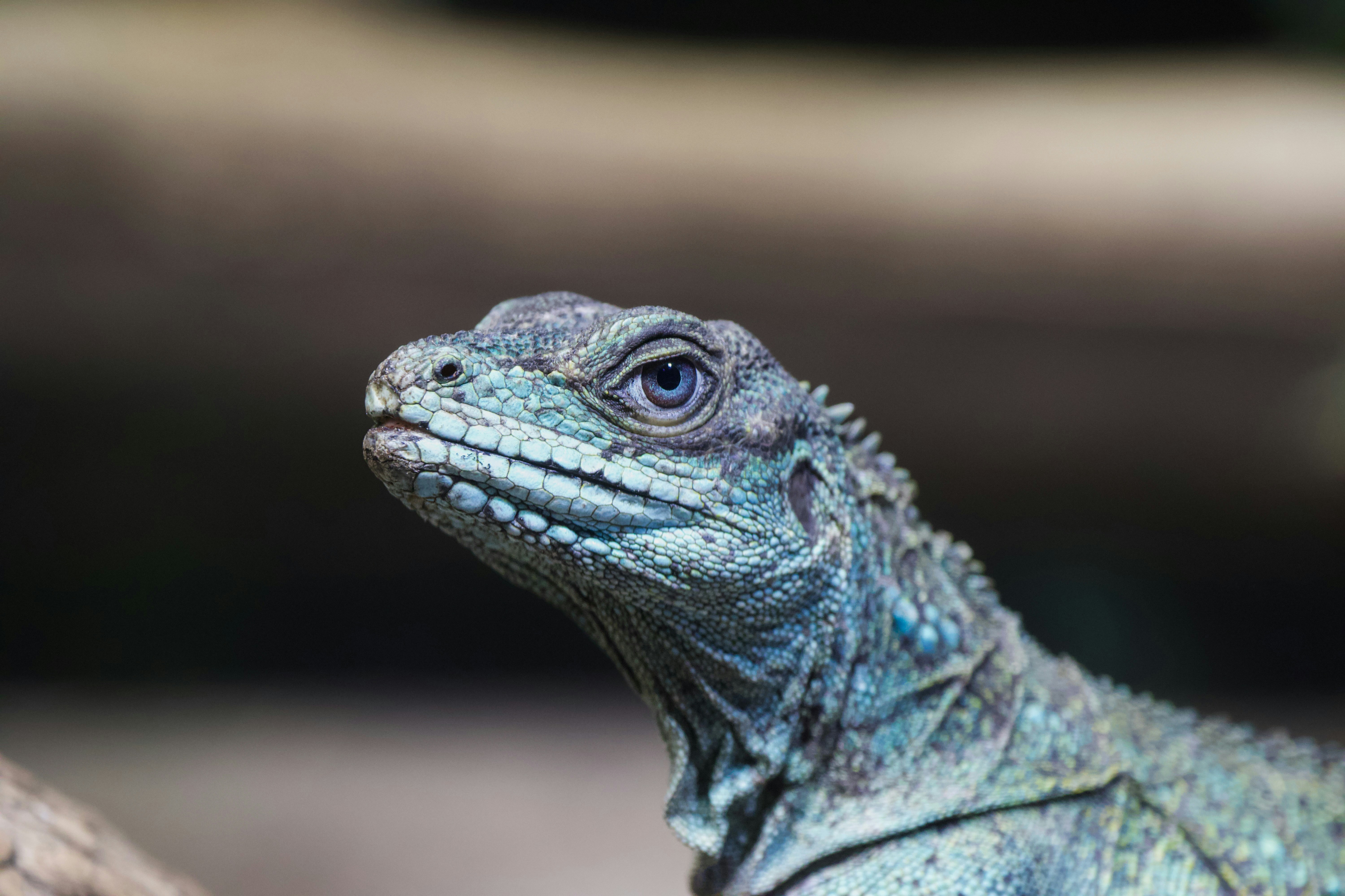 Photo by jakub_neskora