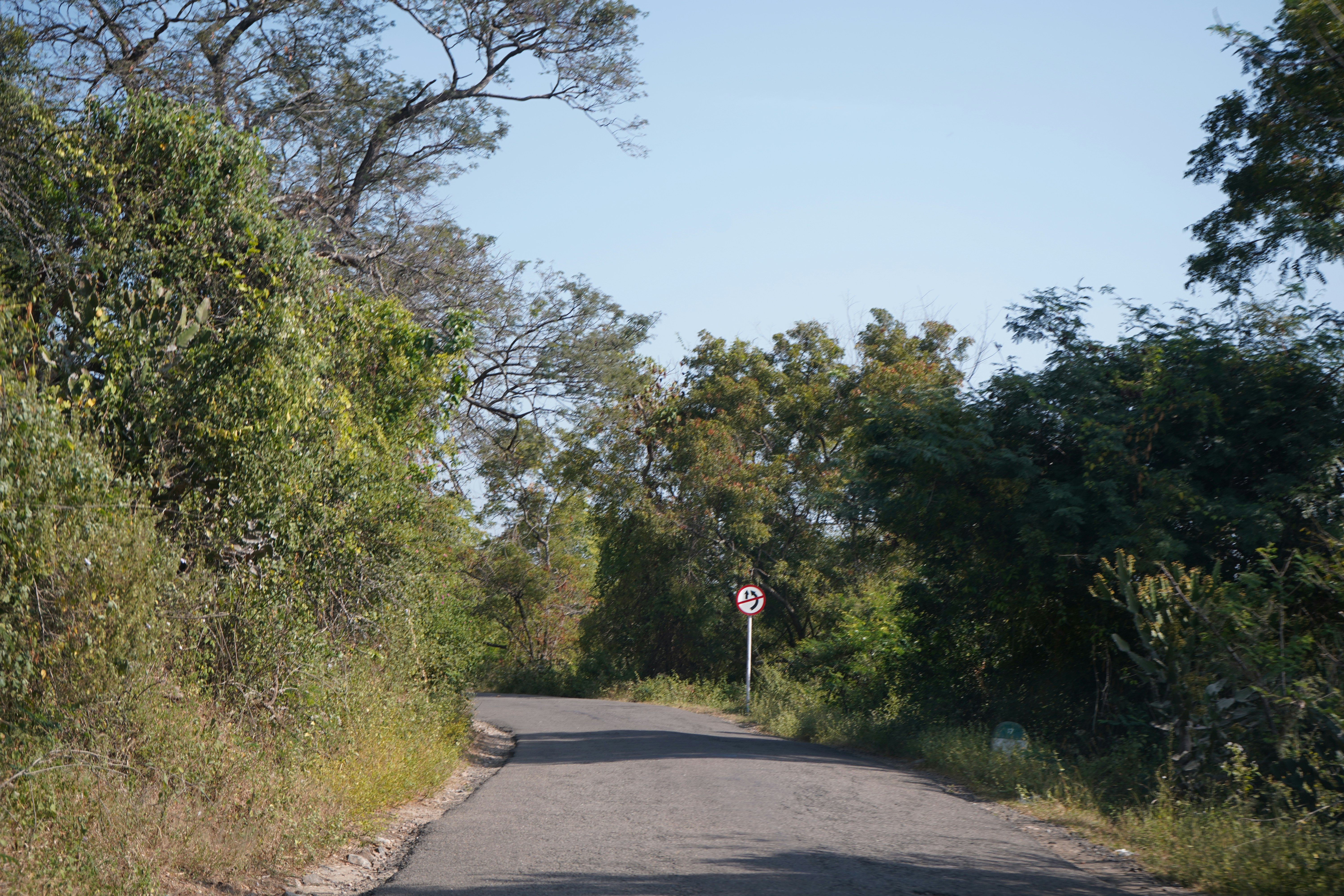 a street sign on the side of a road surrounded by trees