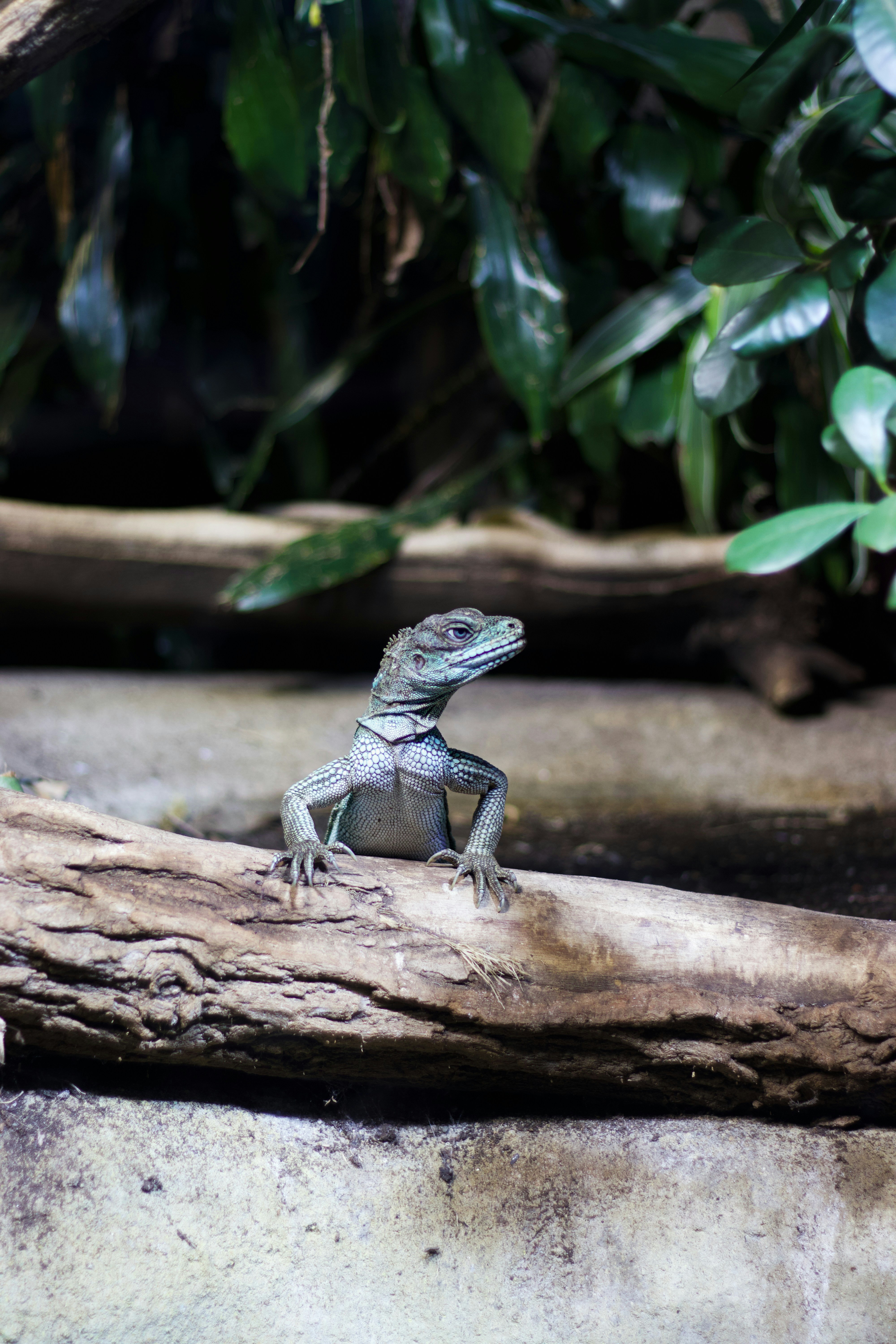 Photo by jakub_neskora