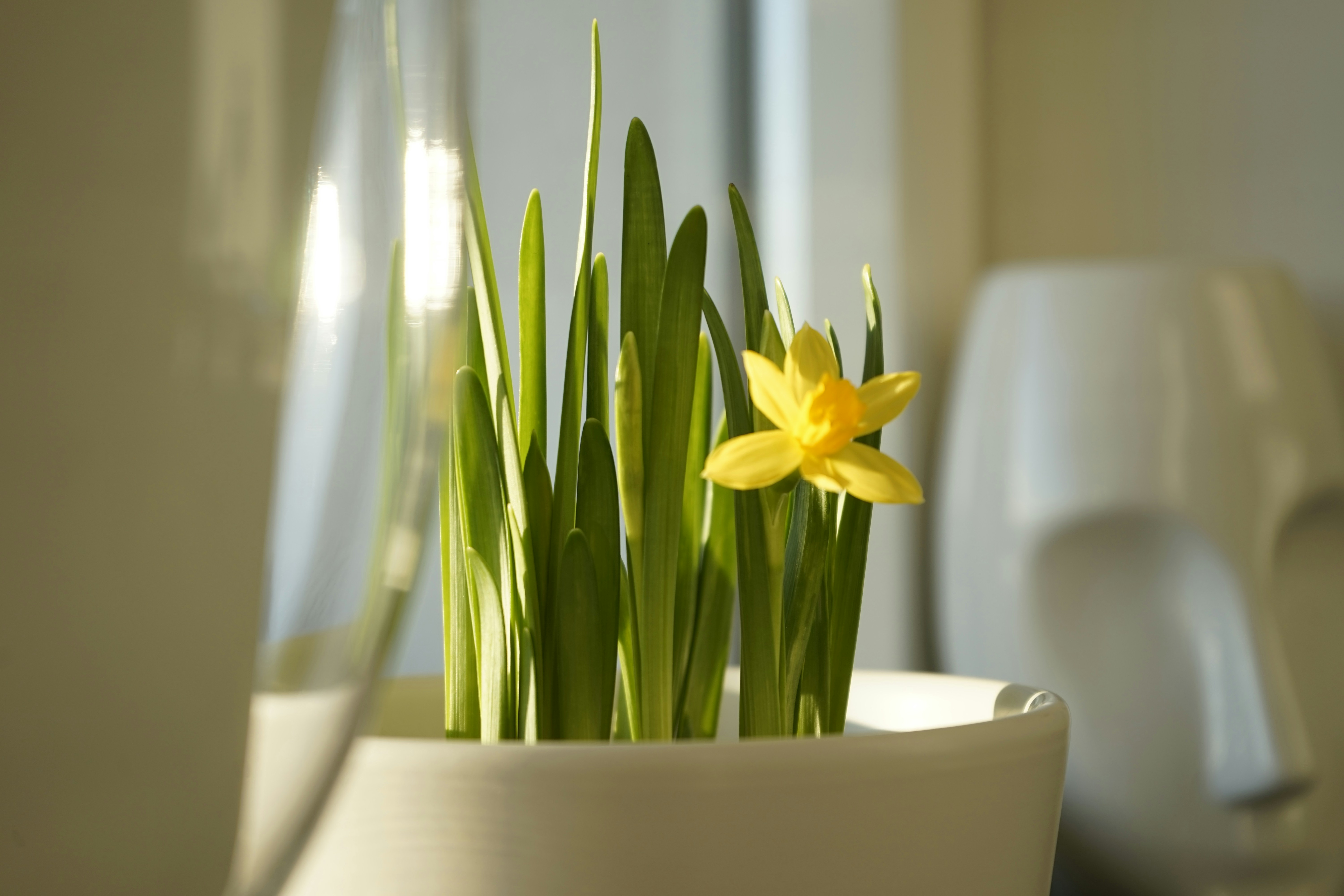 Photo by vedranafilipovic