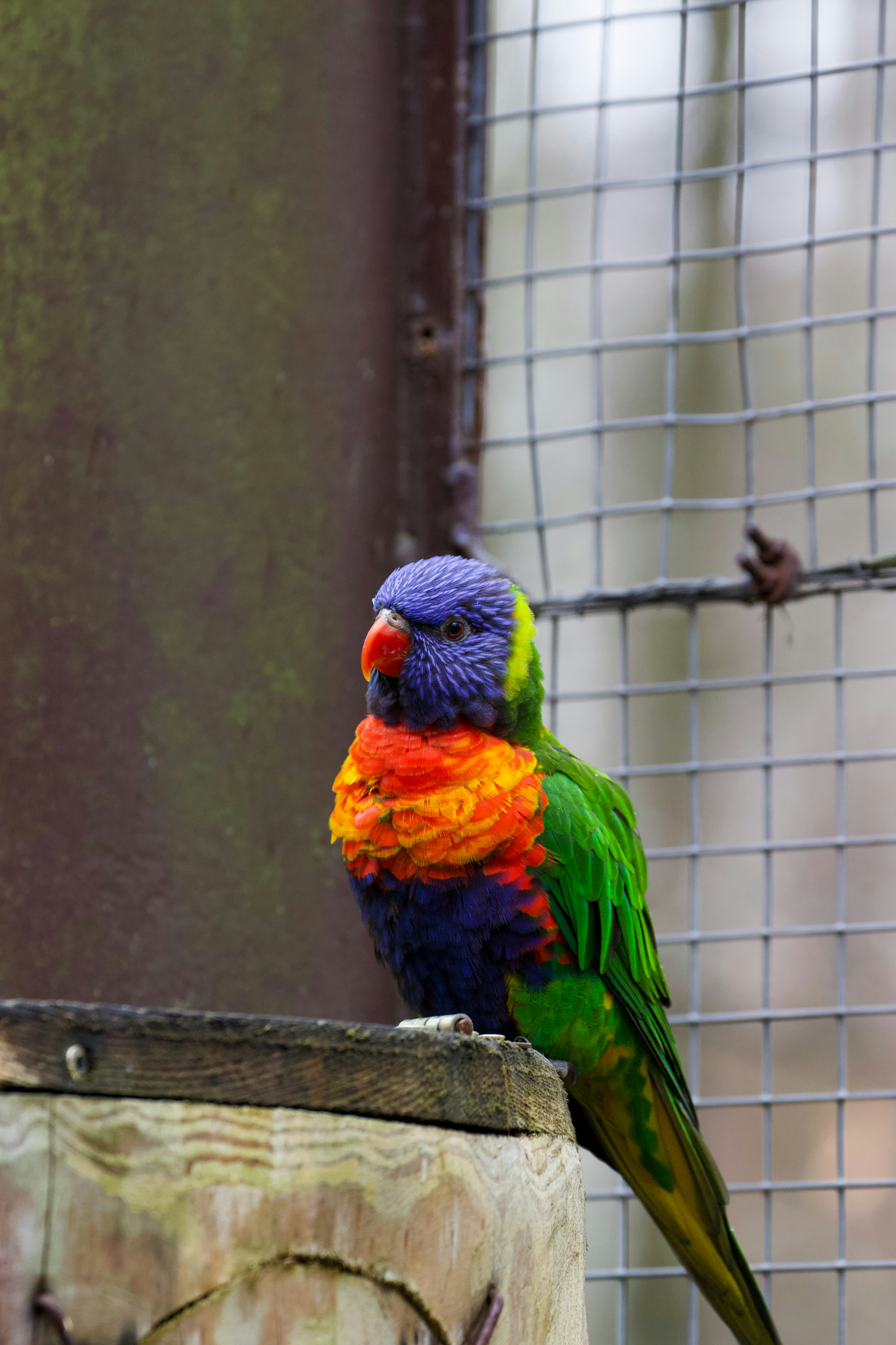 Photo by jakub_neskora