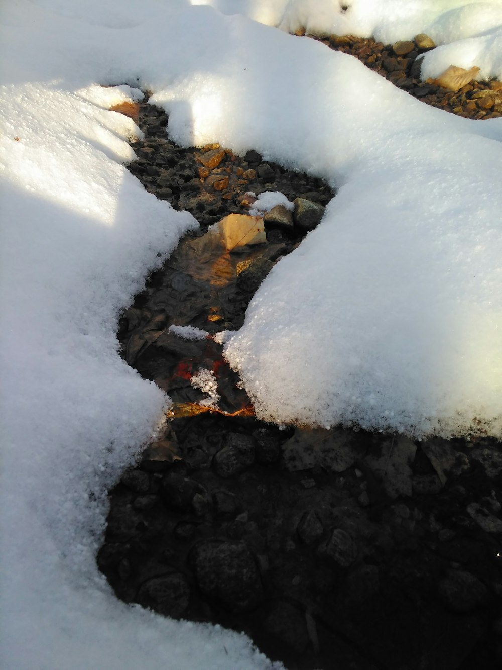 a stream of water running through a snow covered forest