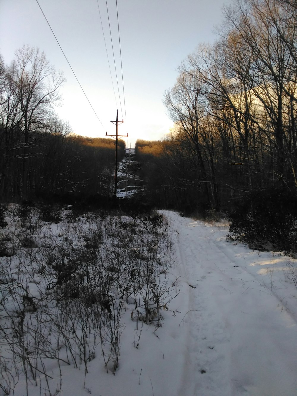 a snow covered road in the middle of a forest