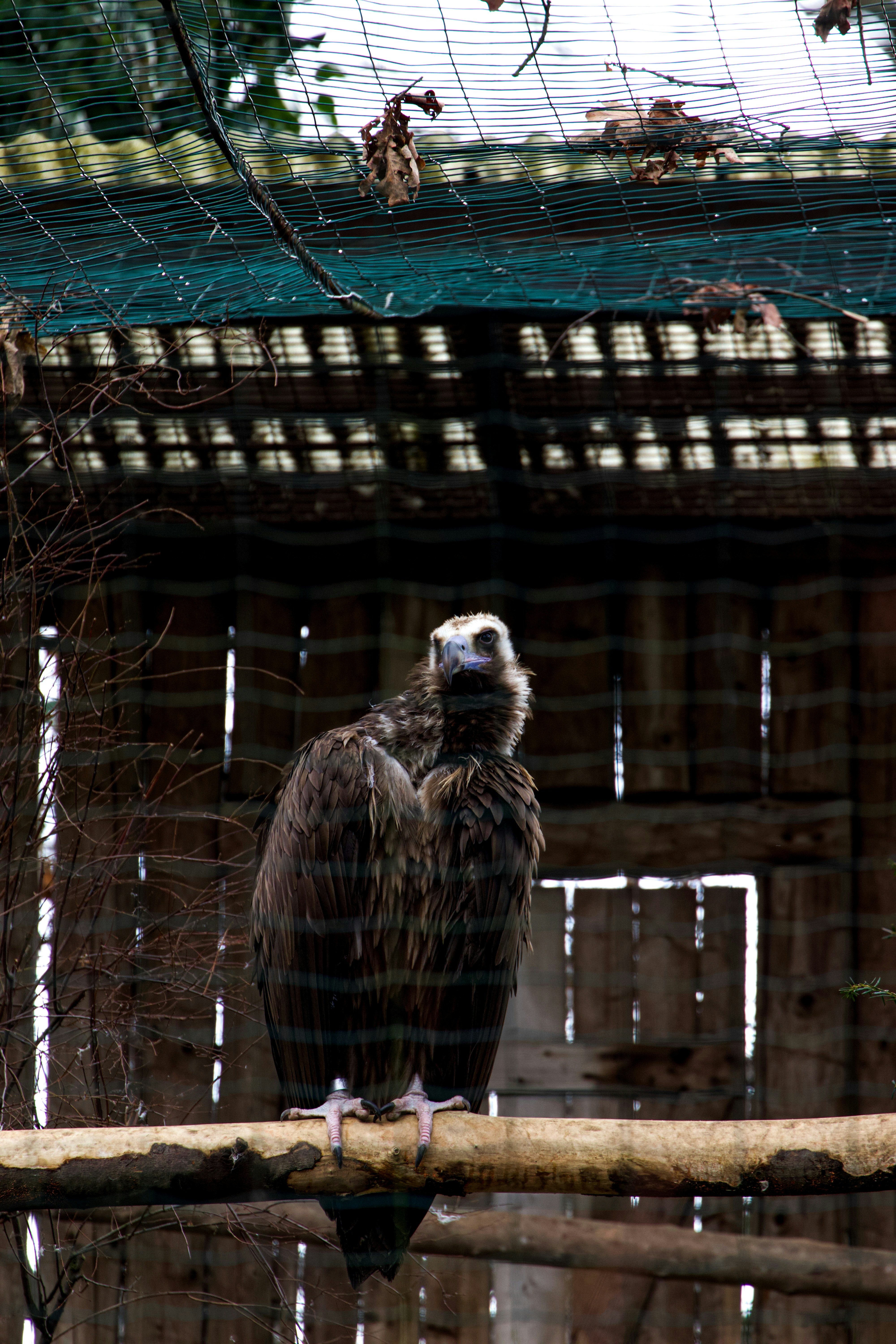 Photo by jakub_neskora